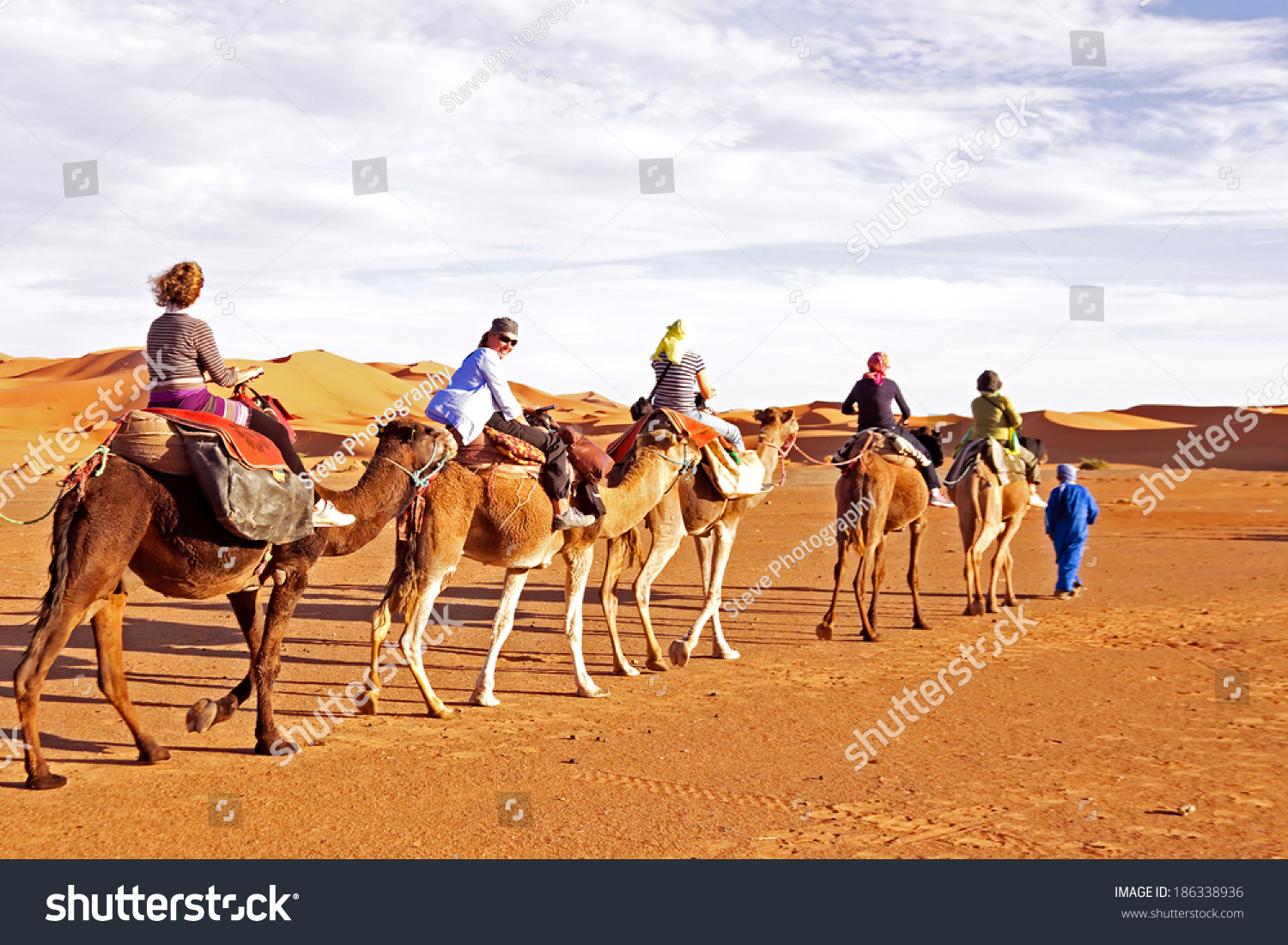 Camel Caravan Going Through The Sand Dunes In The Sahara Desert ...