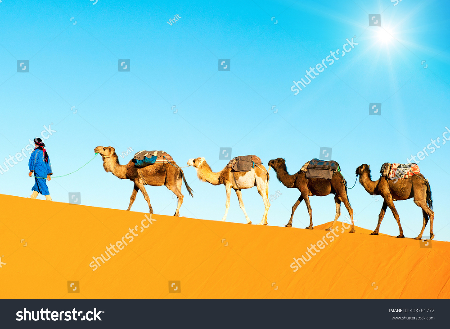 Camel Caravan On The Sahara Desert Stock Photo 403761772 : Shutterstock