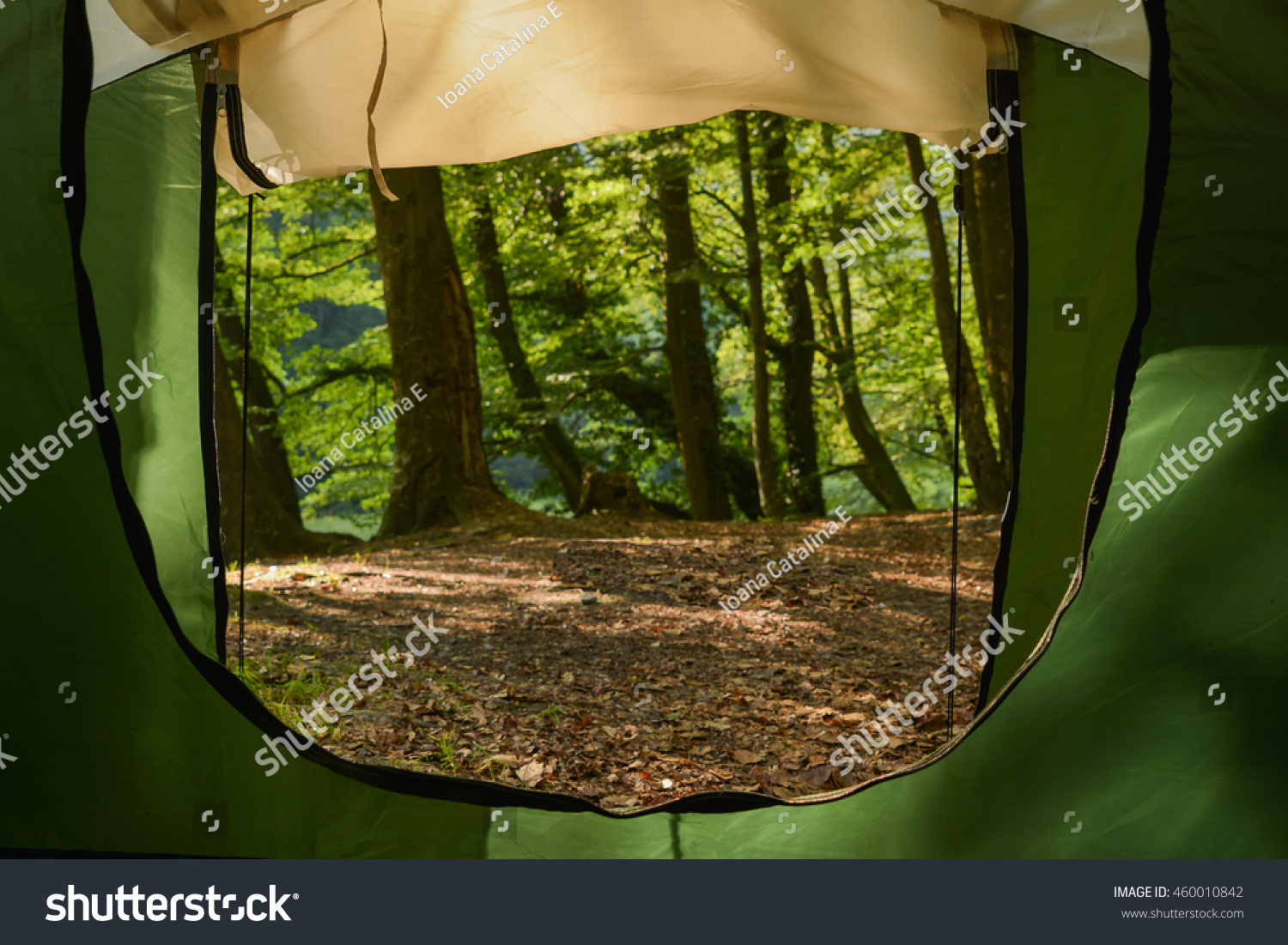 Camping Forest View Inside Tent Green Stock Photo Edit Now 460010842