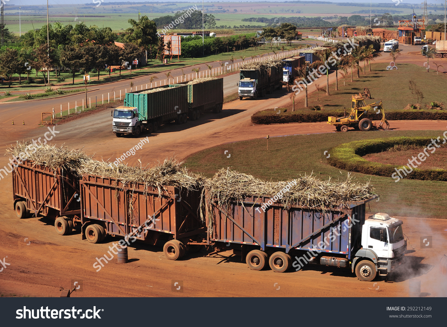 Campo Florido Minas Gerais fonte: image.shutterstock.com