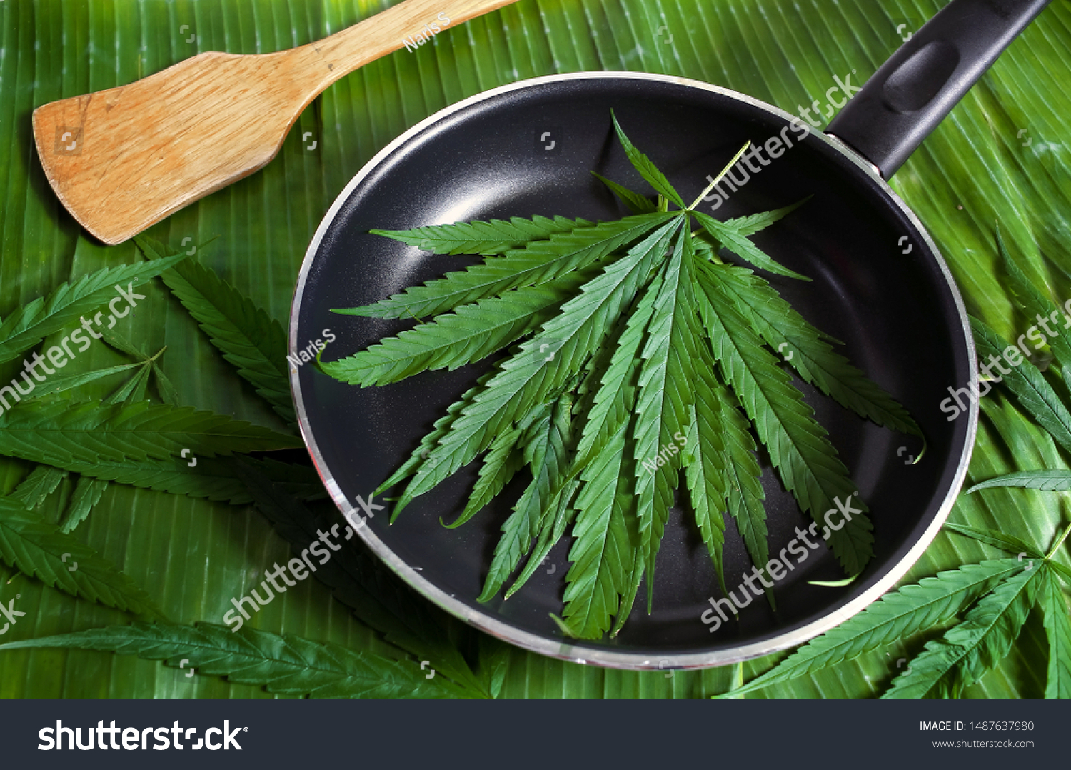 Cannabis Leaves Marijuana Green Color Cooking Stock Photo Edit Now 1487637980