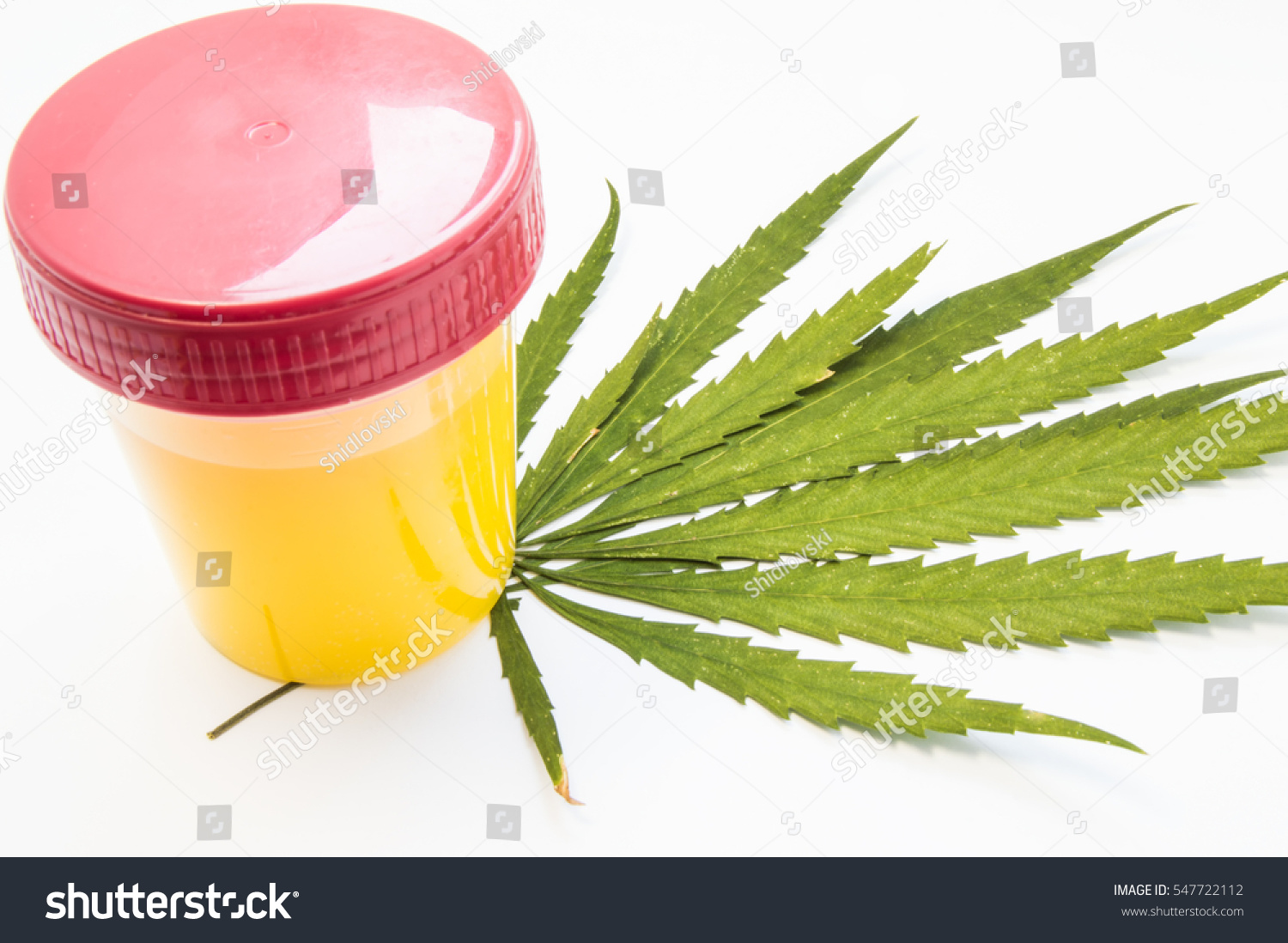 pee on marijuana Pee on marijuana