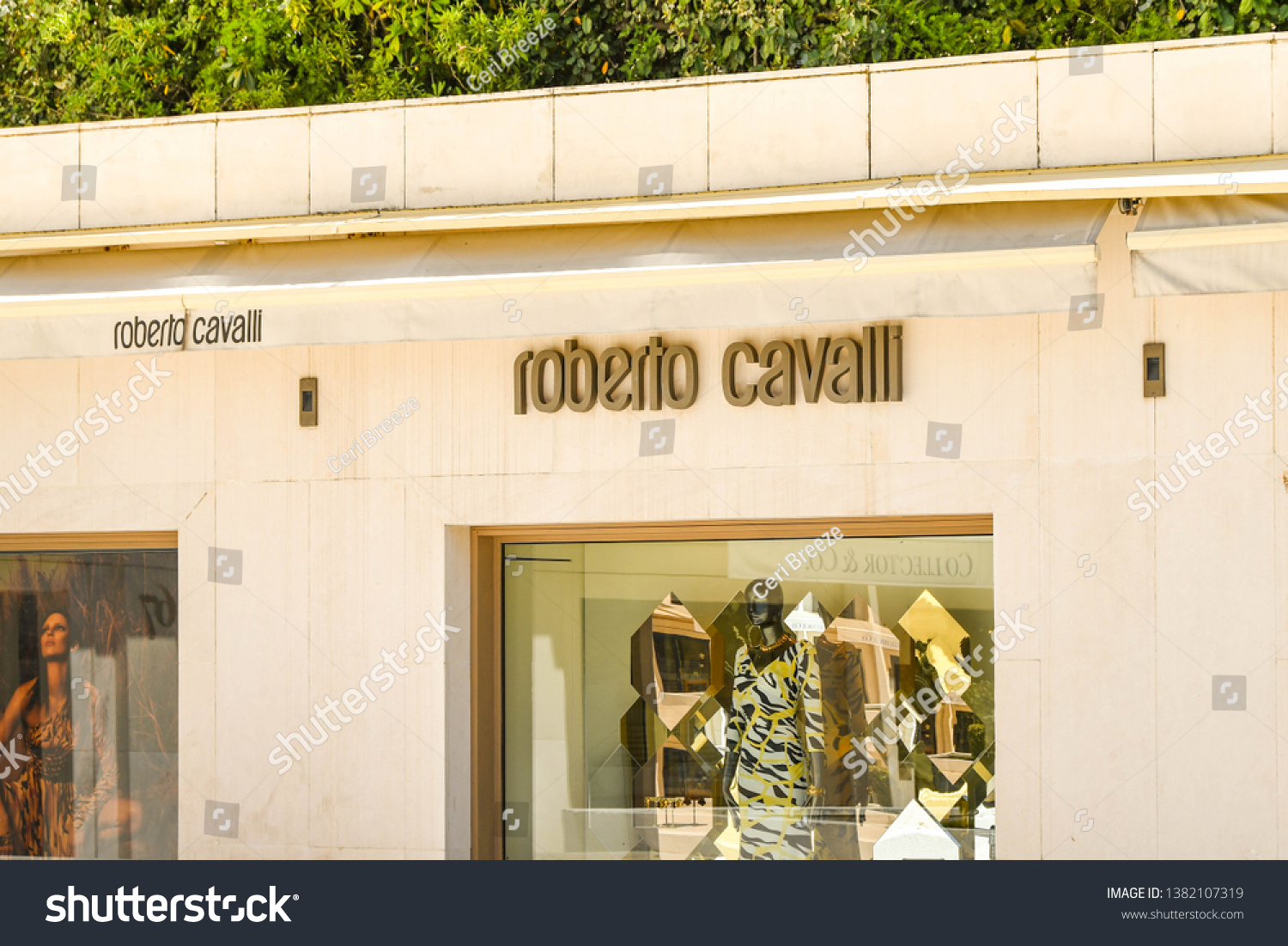 roberto cavalli france