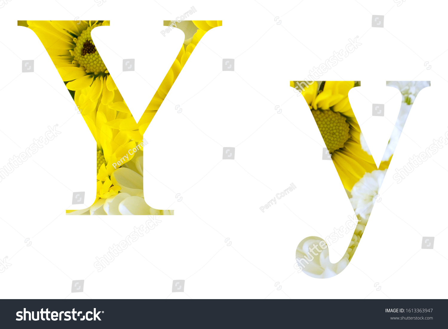 capital-upper-case-lower-case-letter-stock-photo-1613363947-shutterstock