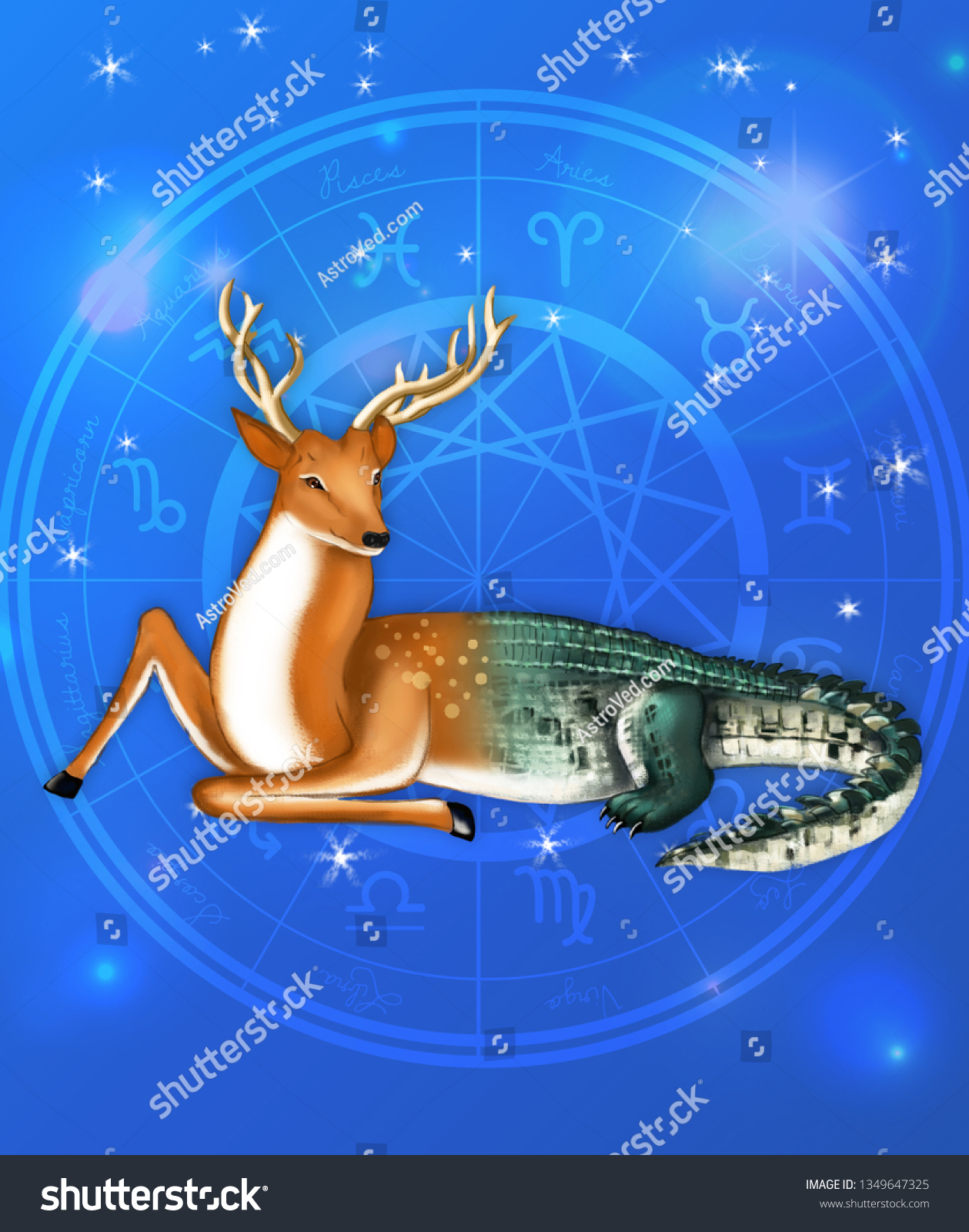 Capricorn Vedic Symbol Zodiac Sign Capricorn ภาพประกอบสต็อก 1349647325