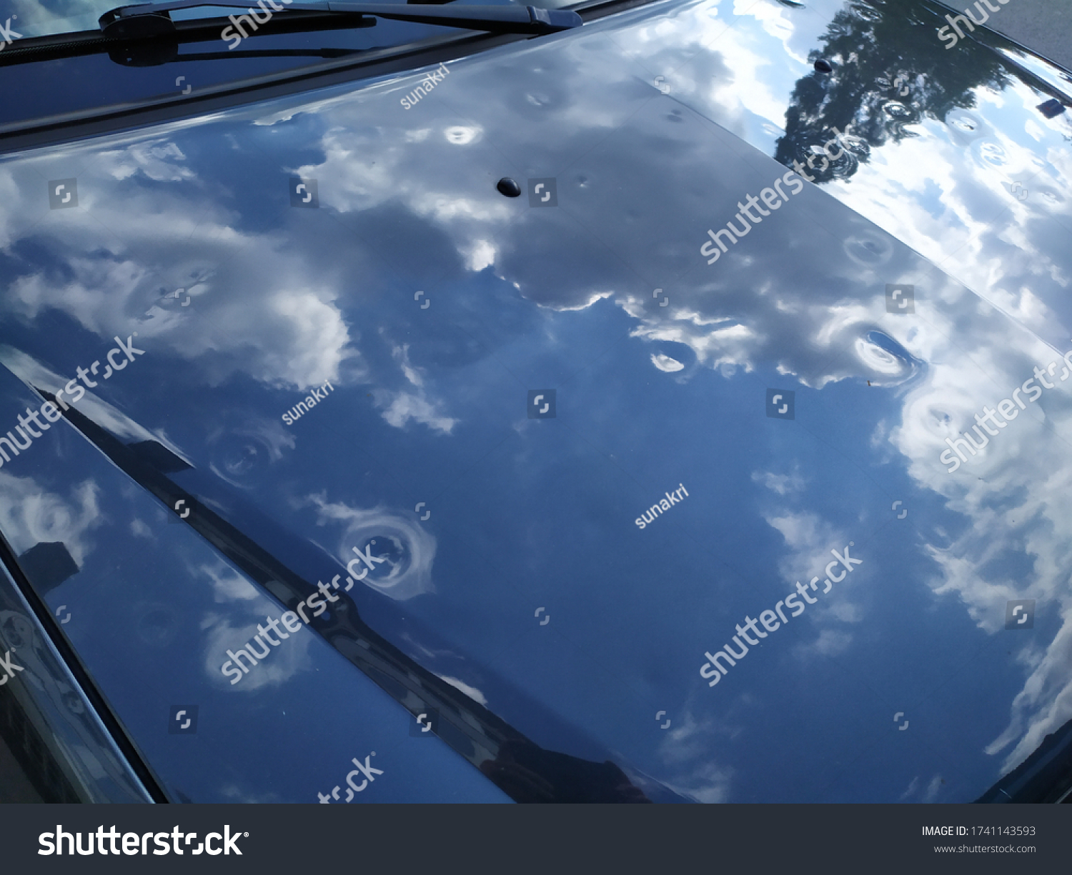 On a car hood, in nature