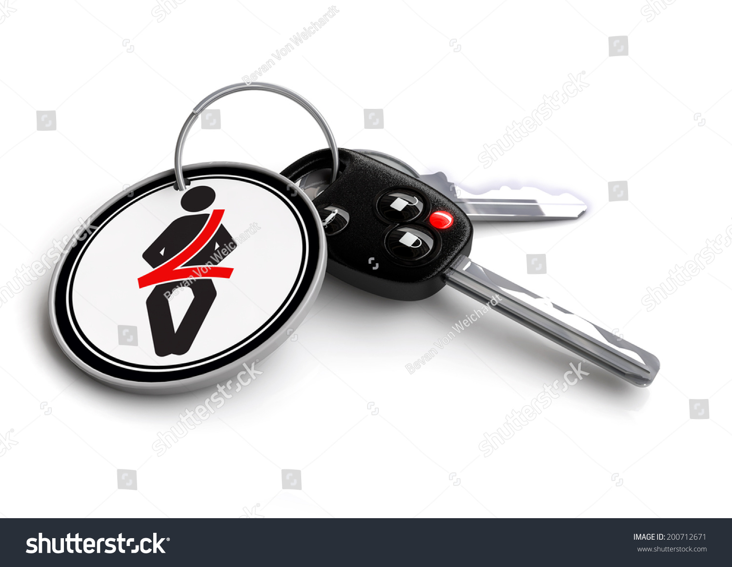 seat belt key ring