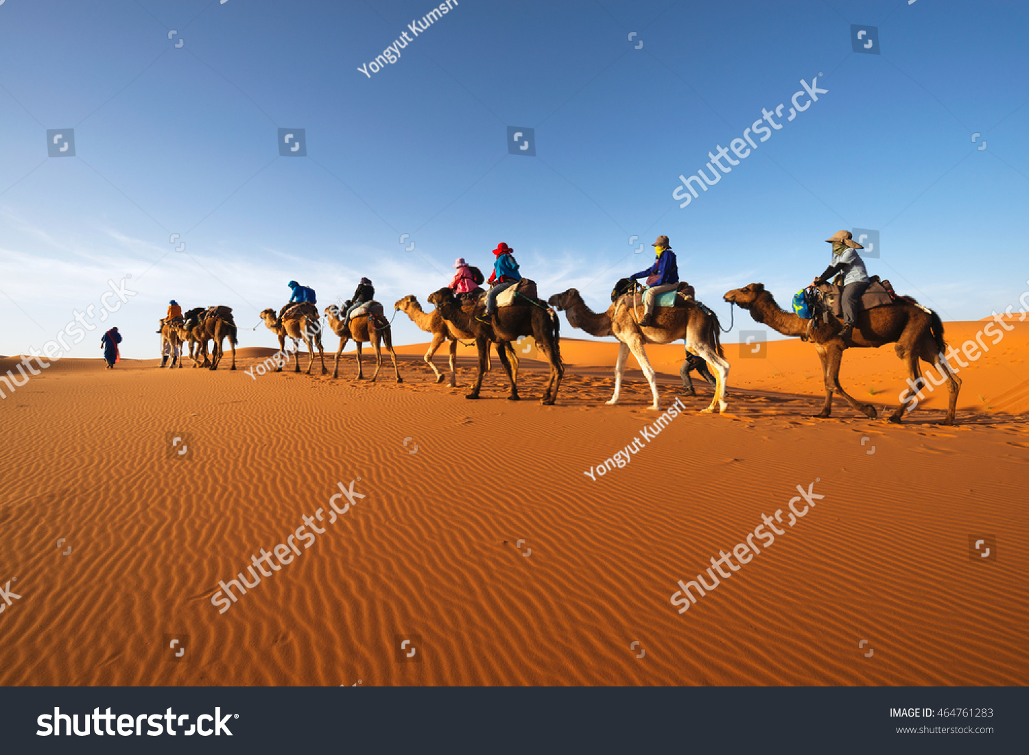 Caravan Going Through The Sand Dunes In The Sahara Desert, Morocco ...