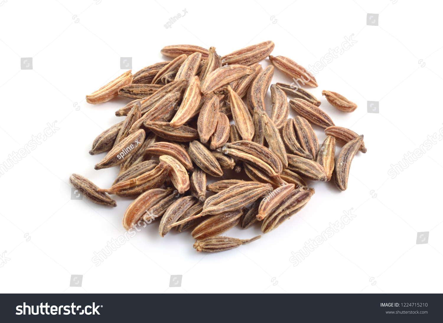 Caraway Carum Carvi Seed Isolated On Stock Photo 1224715210 | Shutterstock