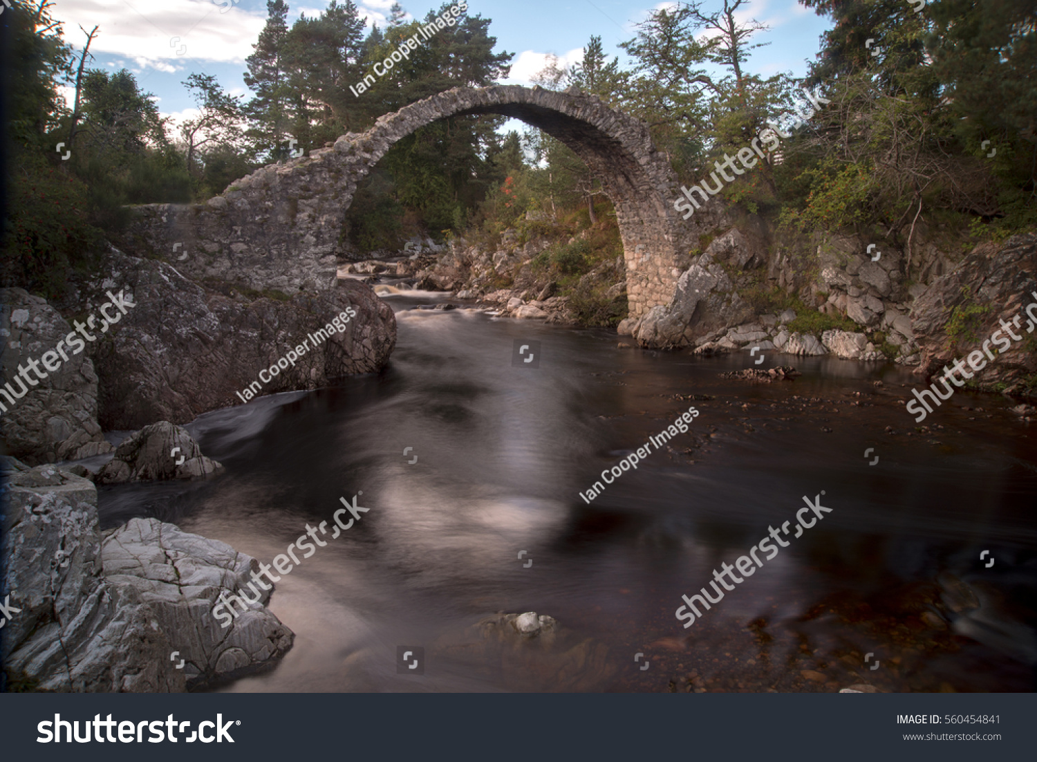 Carbridge Images, Stock Photos & Vectors | Shutterstock