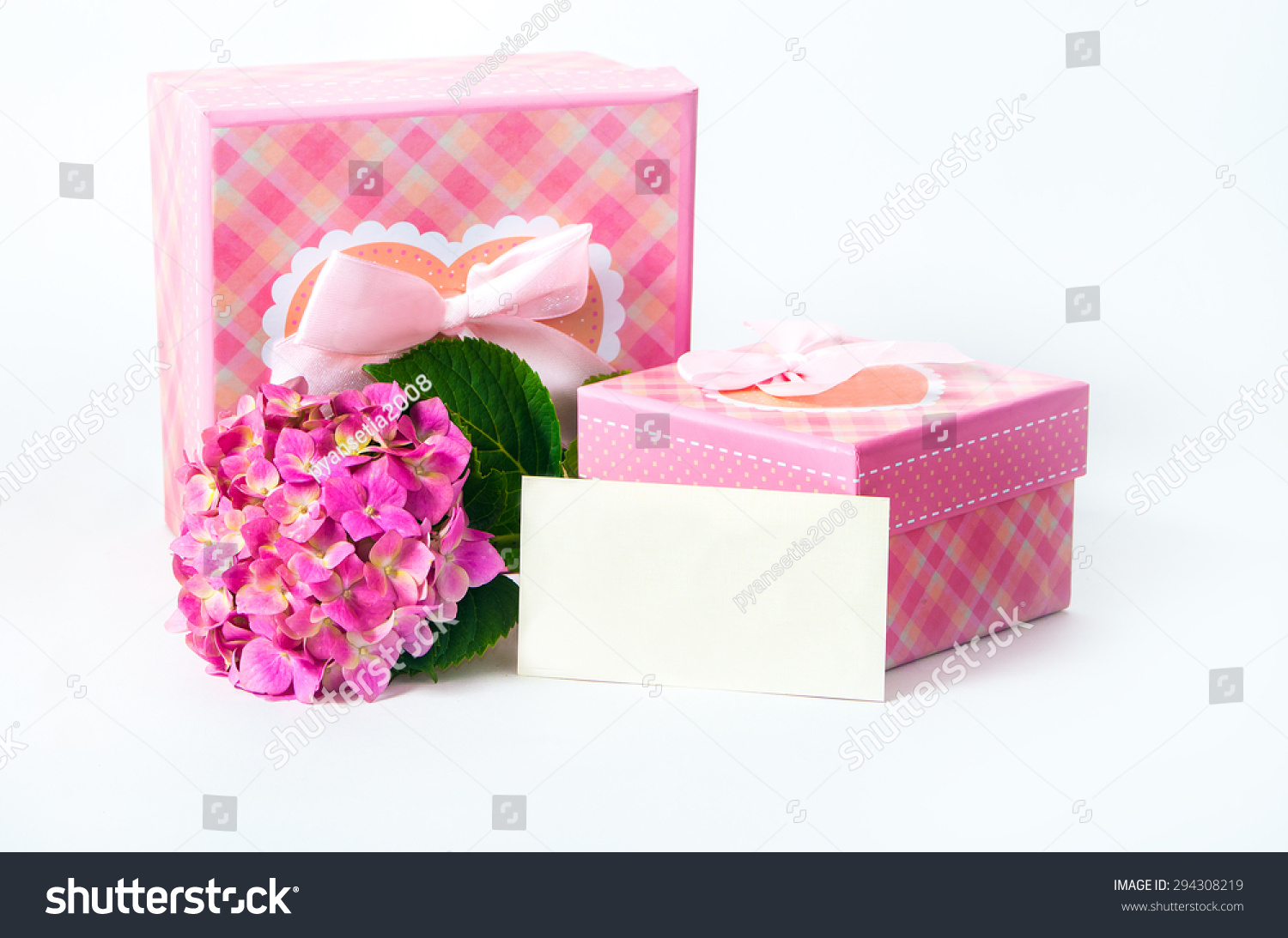 Card Hydrangea Flower Gift Box Present Nature Stock Image 294308219