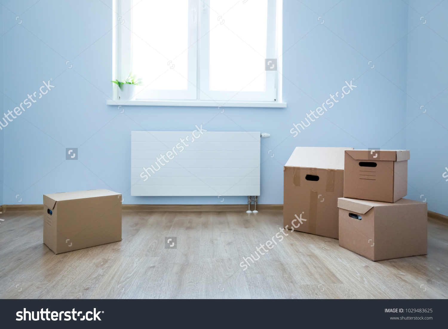 Cardboard Boxes On Laminate Floor Empty Stock Photo Edit Now