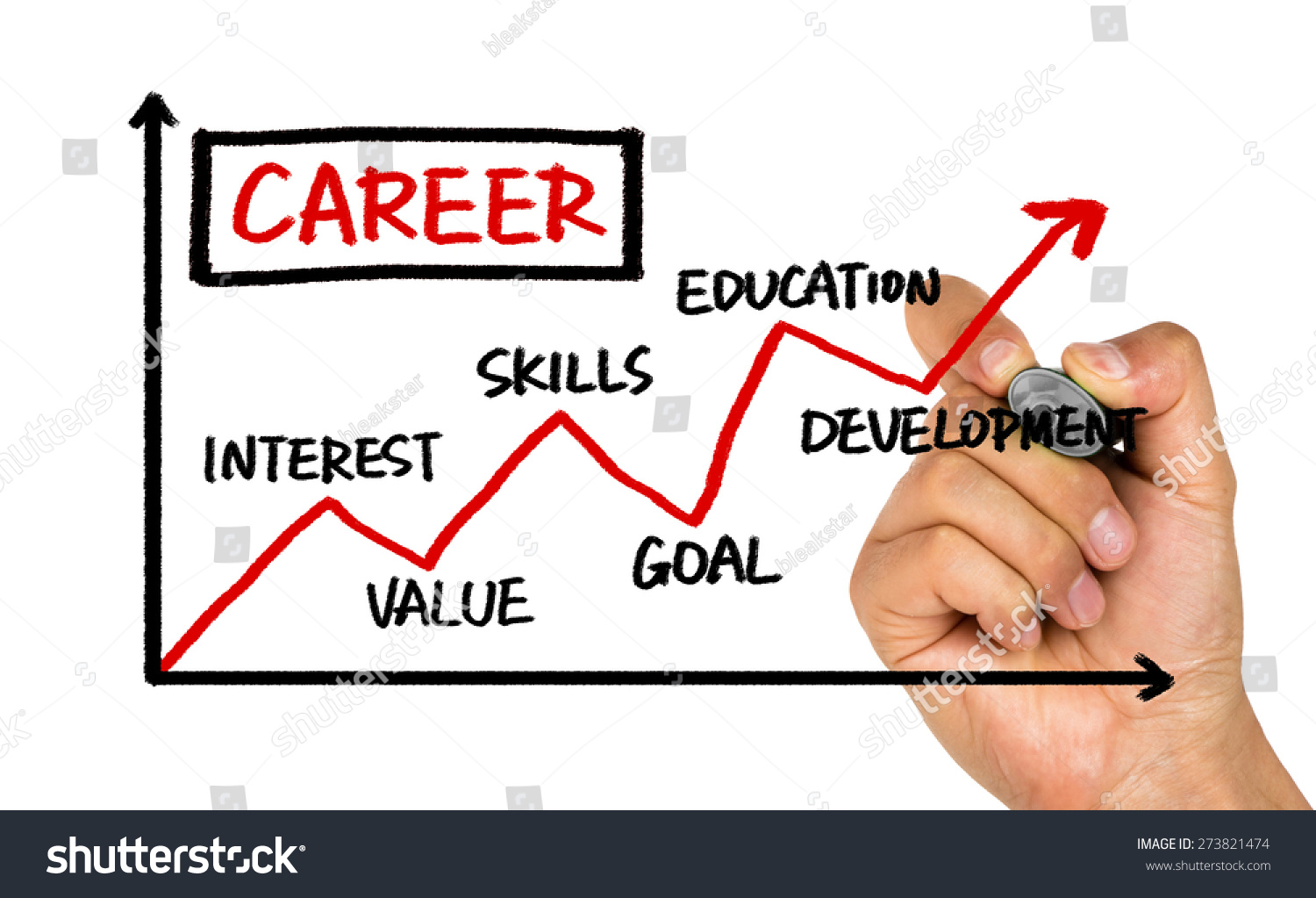 Career Development Chart Hand Drawing On Stock Photo 273821474 ...