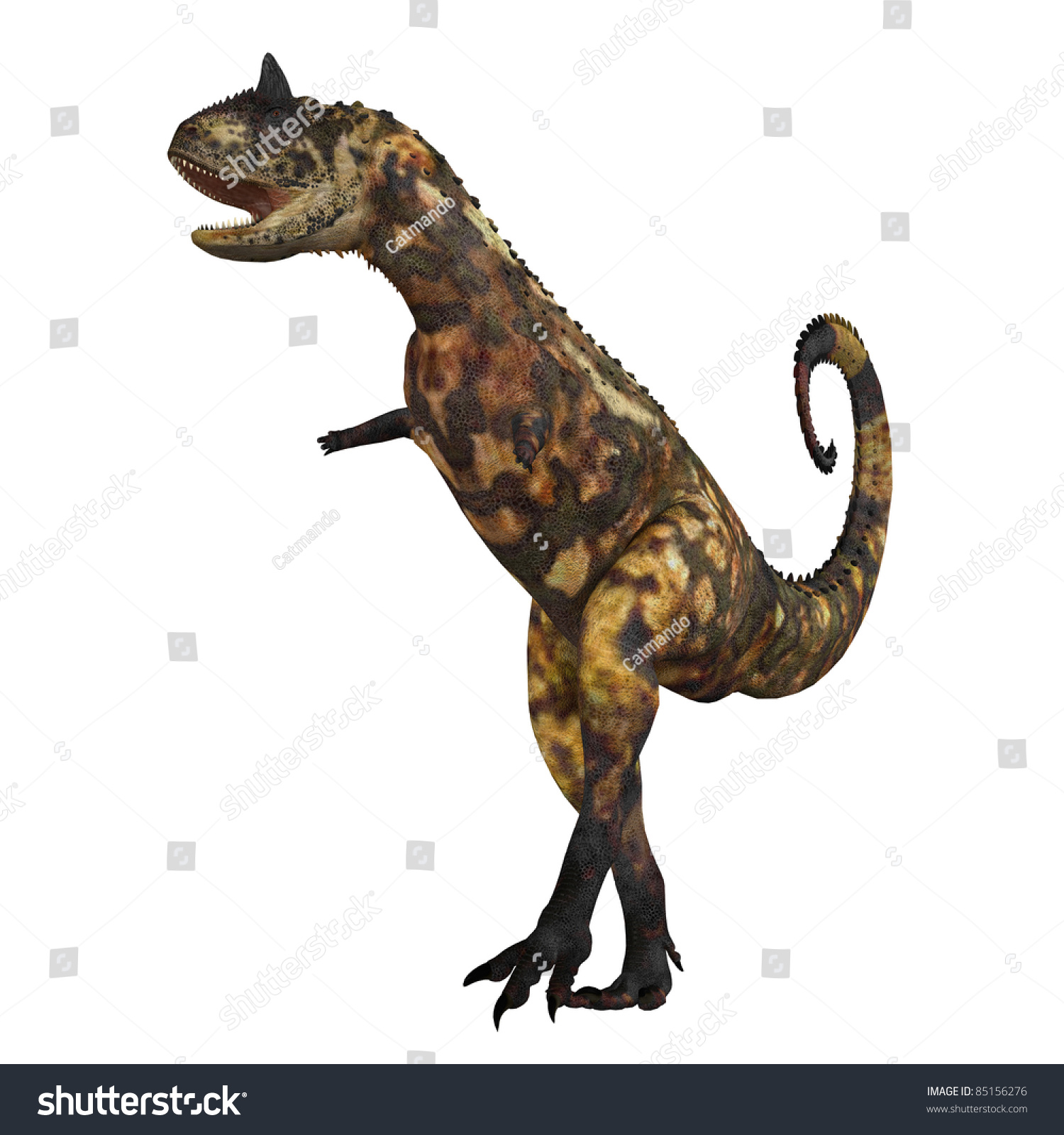 Carnotaurus 01 - The Carnotaurus Dinosaur Was A Large Carnivore In The ...