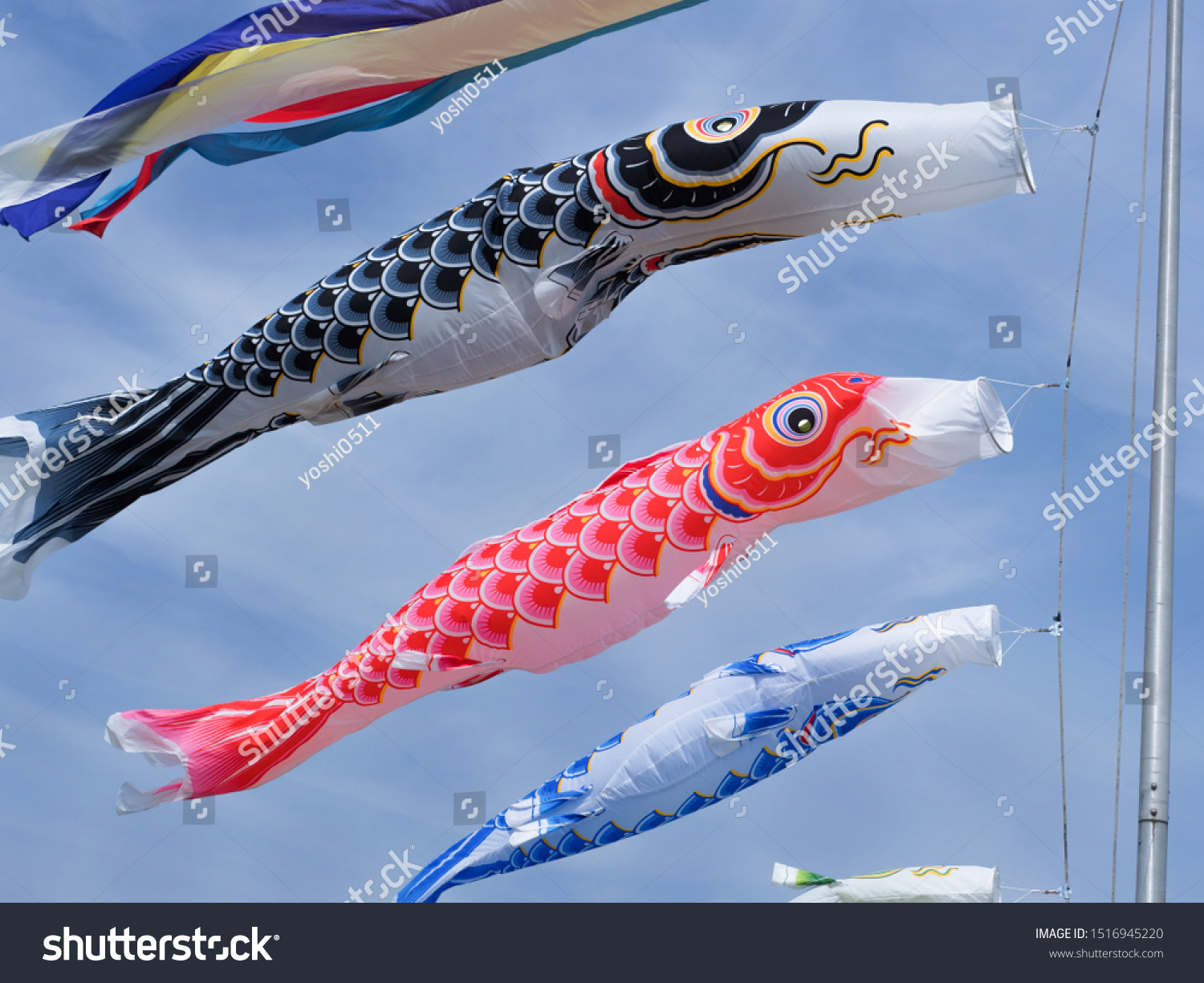 Carp Streamer Japan Has Long Been Stock Photo Edit Now