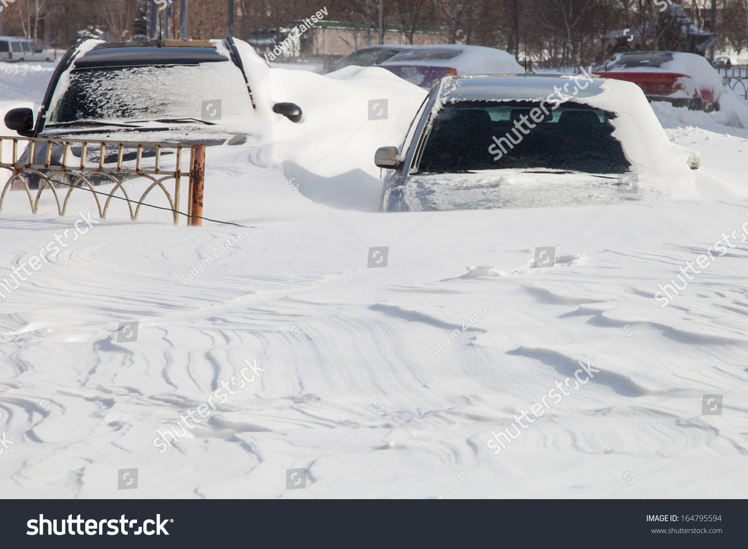 Cars Covered In Snow After A Blizzard Stock Photo 164795594 : Shutterstock