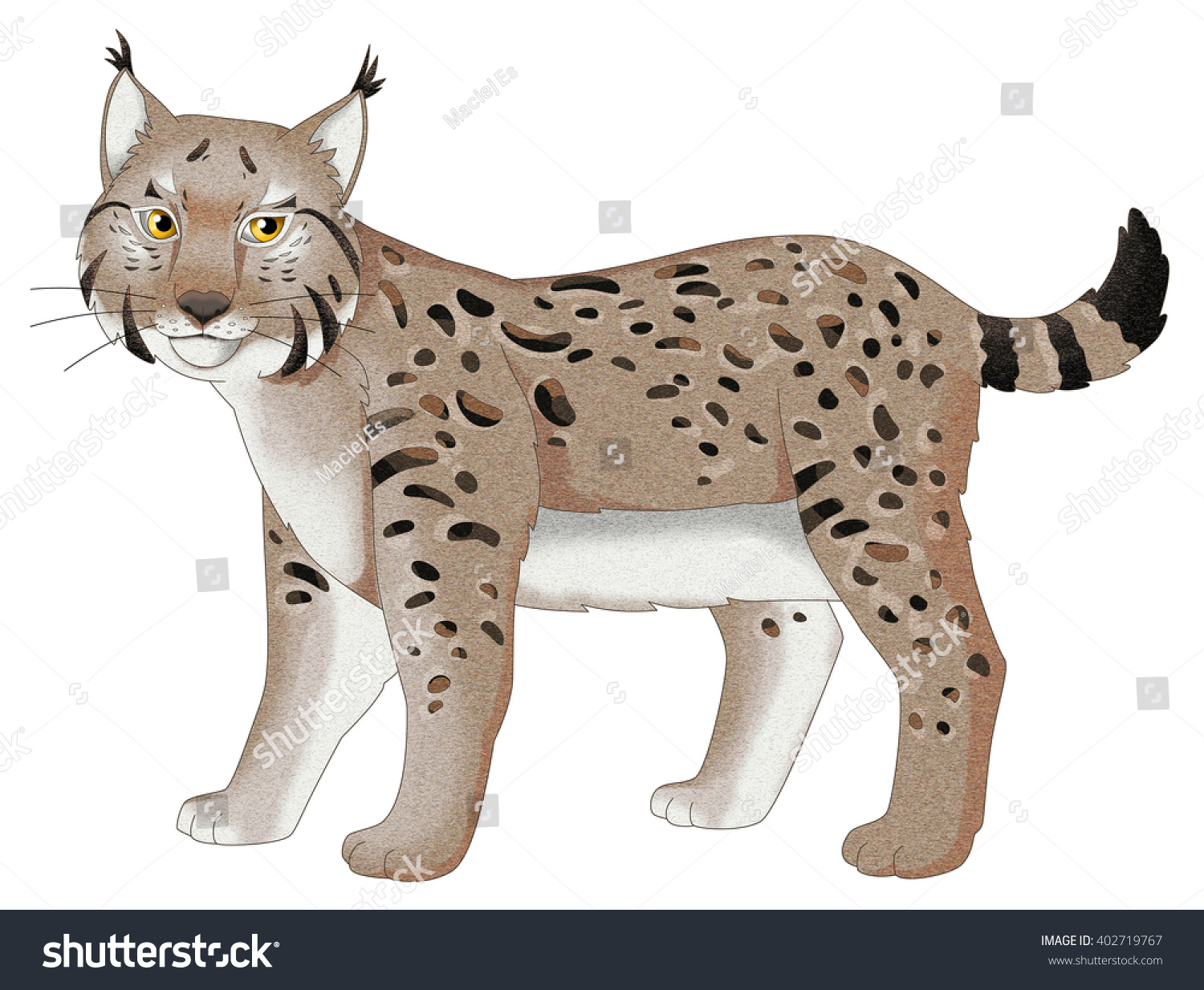 Cartoon Animal Lynx Isolated Illustration Children Stock Illustration ...