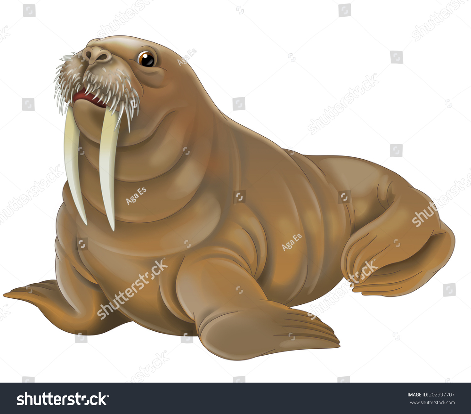 Cartoon Animal Walrus Illustration Children Stock Illustration ...