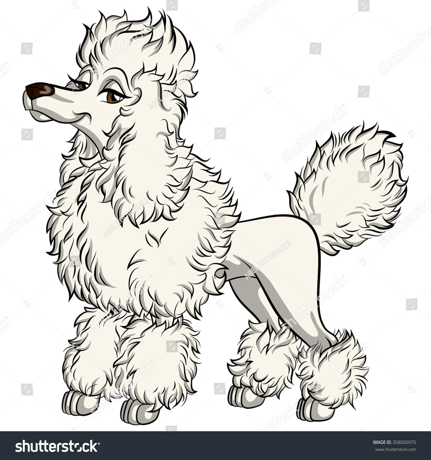 Cartoon French Poodle Stock Photo 358000970 : Shutterstock