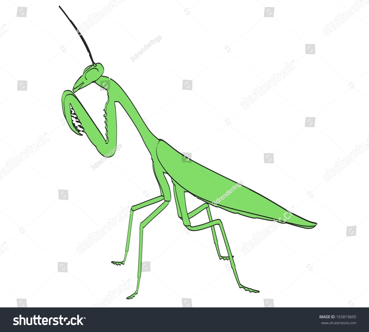 Cartoon Image Praying Mantis Stock Illustration 165819605 - Shutterstock