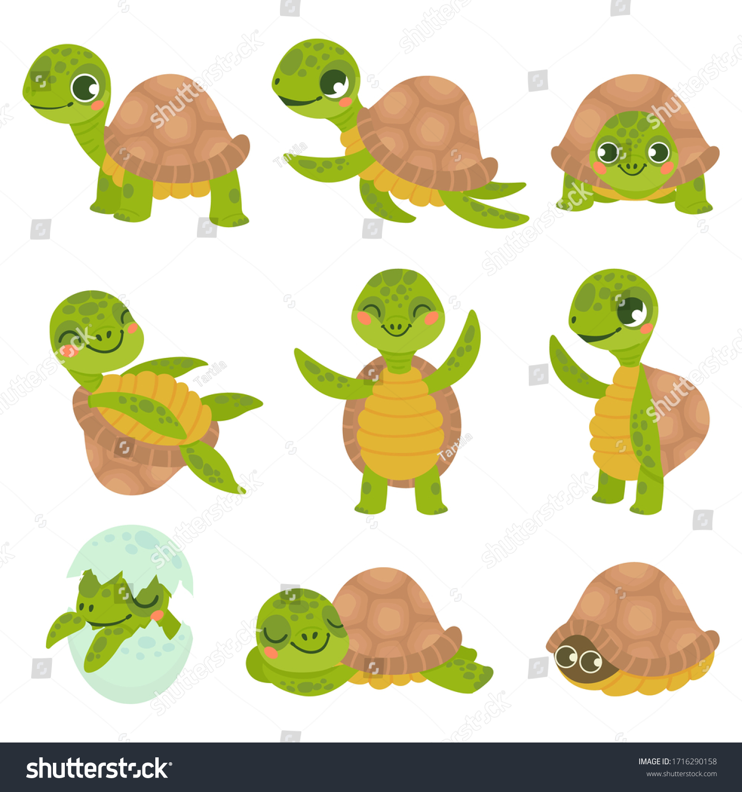 Cartoon Smiling Turtle Funny Little Turtles Stock Illustration ...