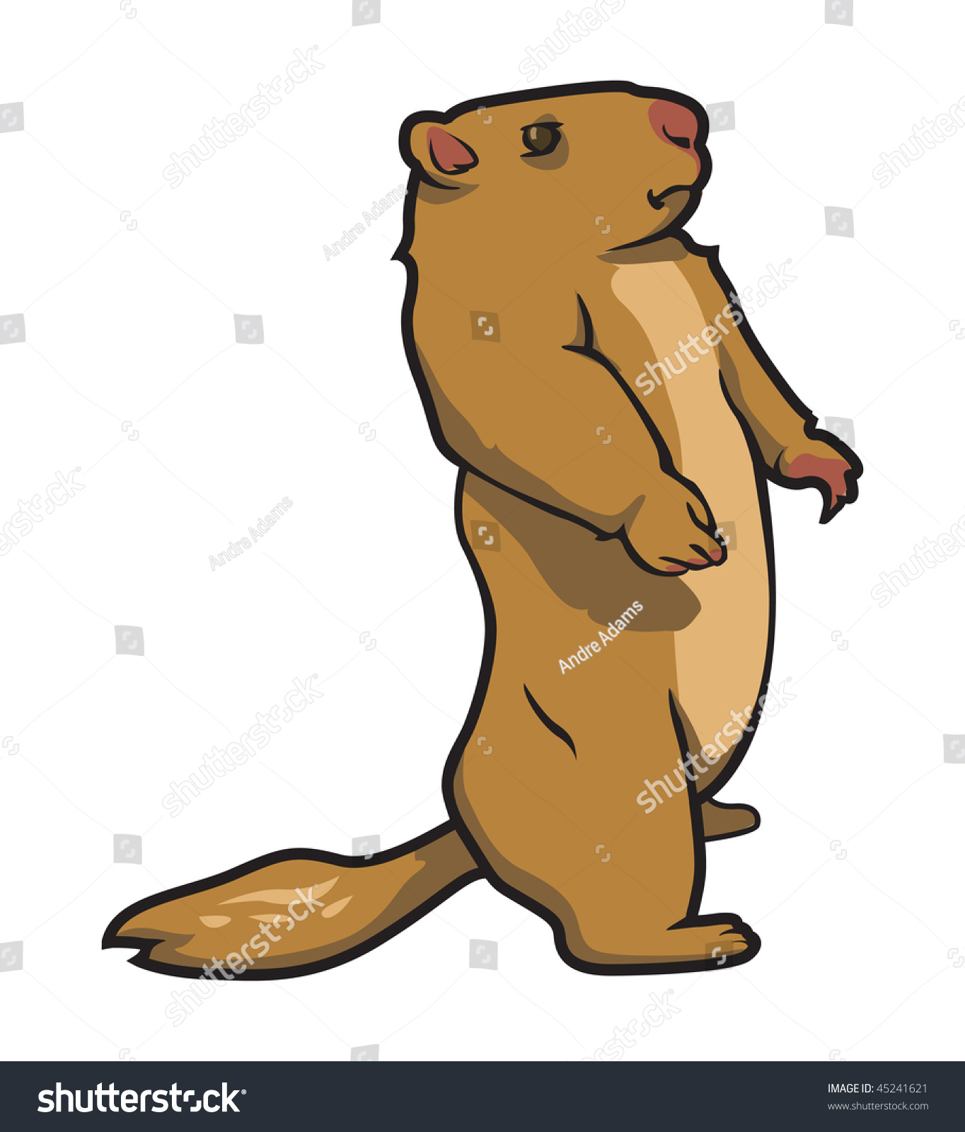 Cartoon Vector Illustration Prairie Dog Stock Illustration 45241621