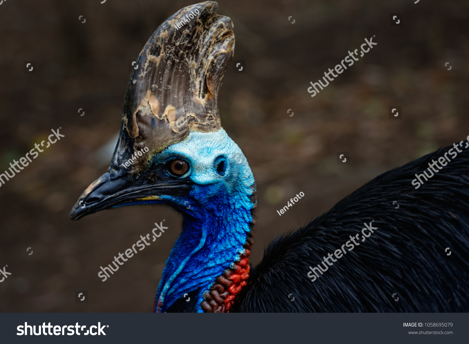 Animalconservation Images, Stock Photos & Vectors | Shutterstock