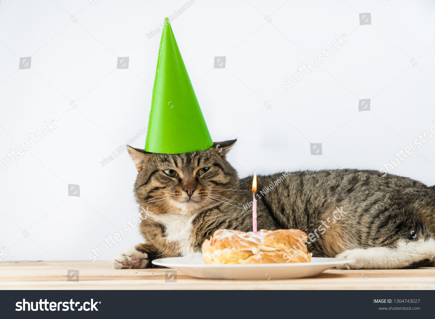 Cat Birthday Cake Candle Cake Birthday Stock Photo 1304743027 ...