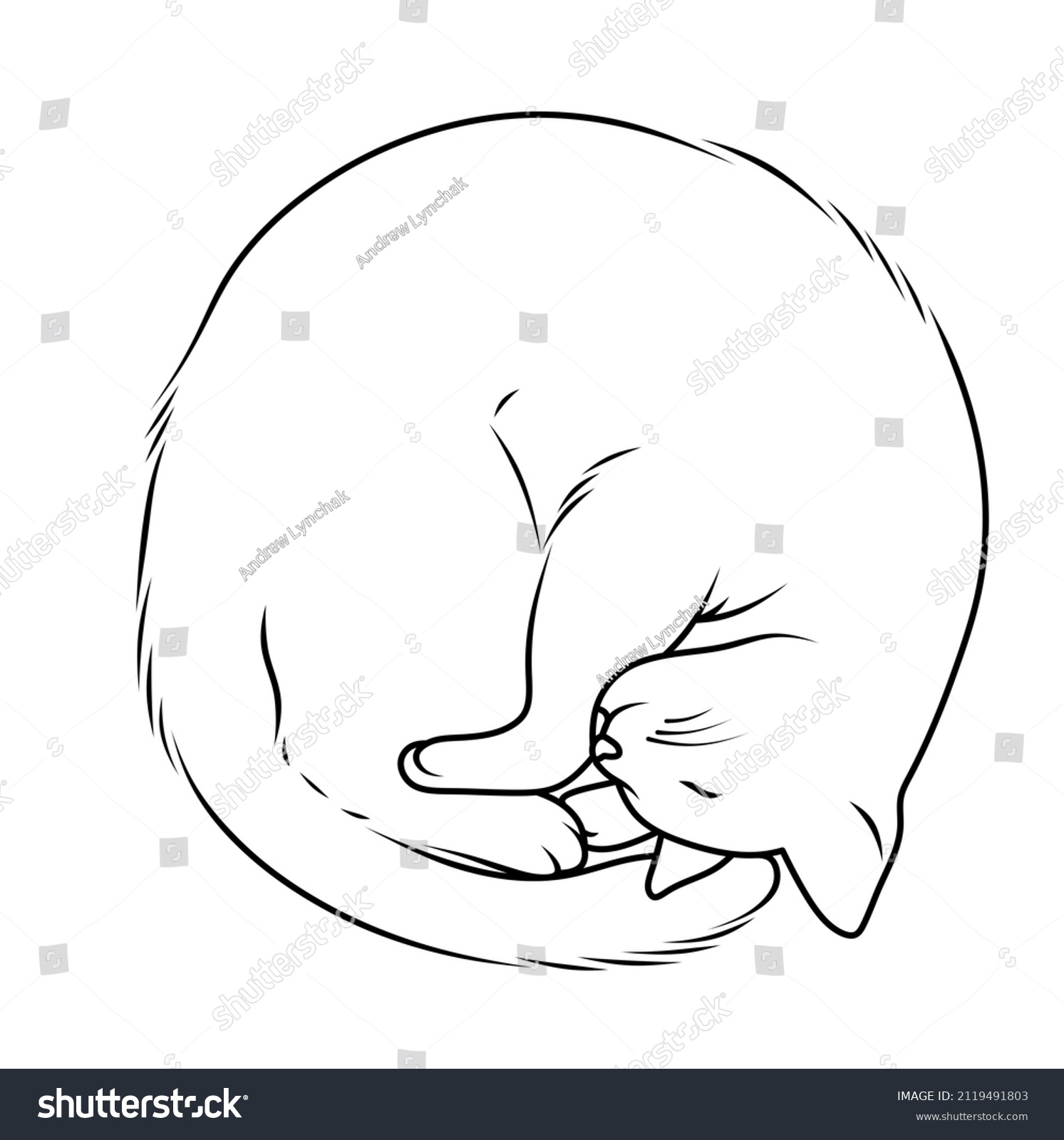 Cat Illustration Line Art Cat Sleeping Stock Illustration 2119491803