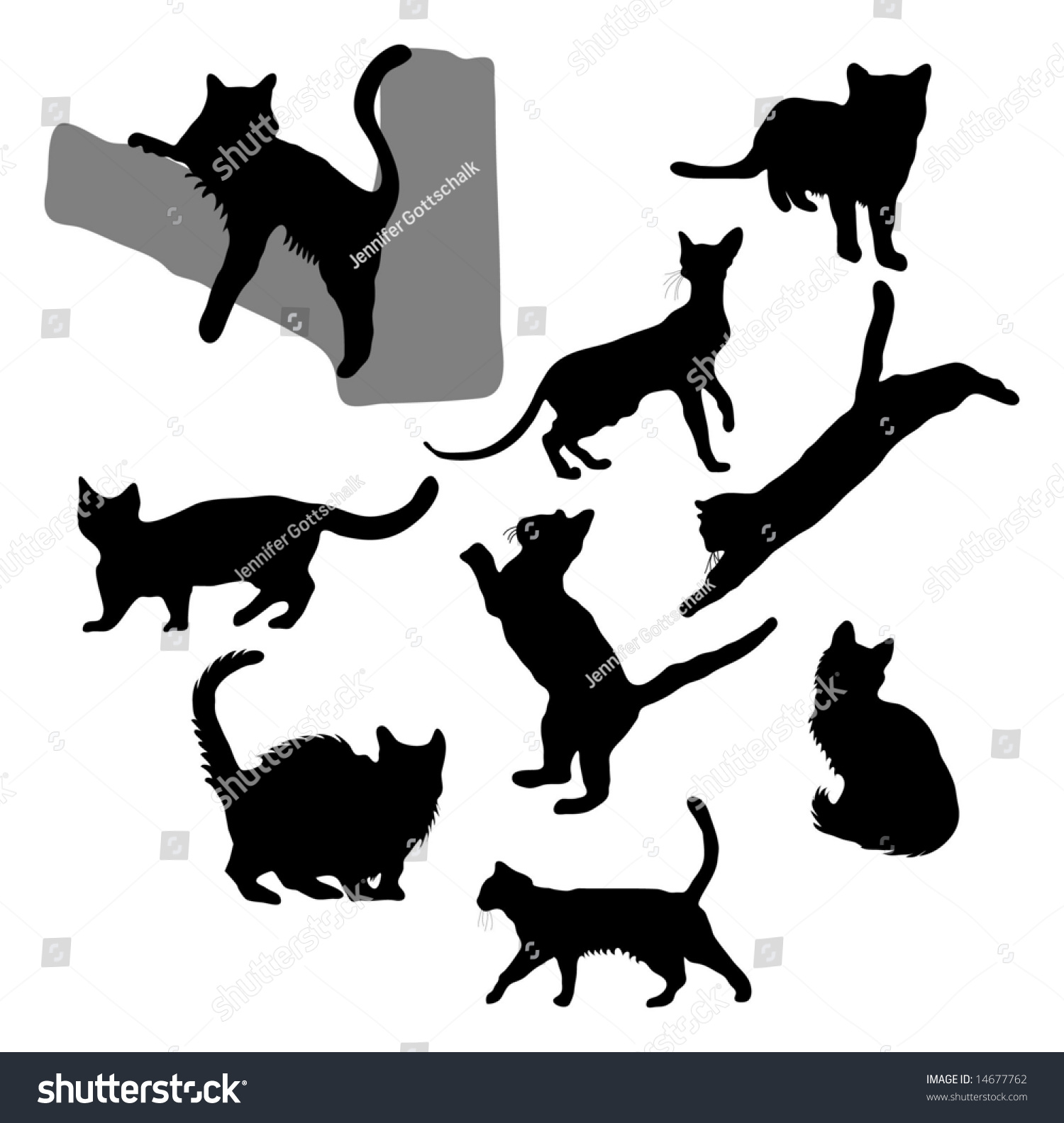 Cat Kitten Silhouettes Stock Illustration 14677762