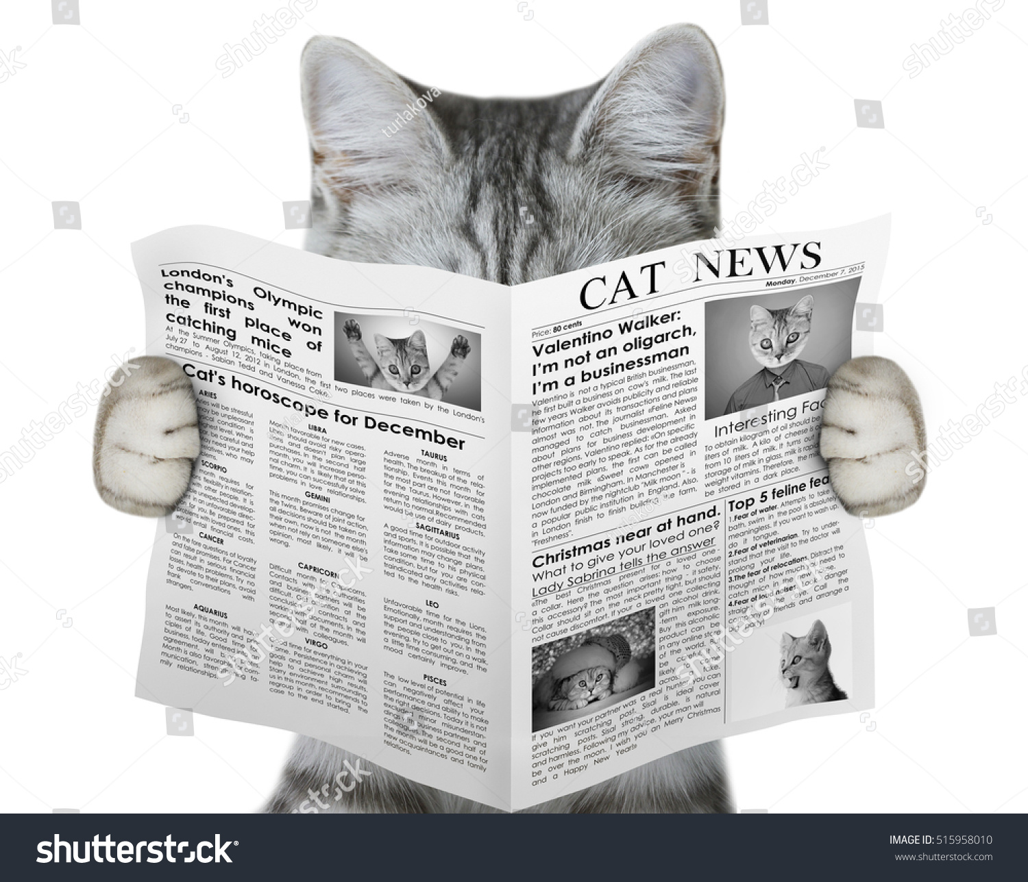 Cat Reading Newspaper Stock Photo Edit Now 515958010