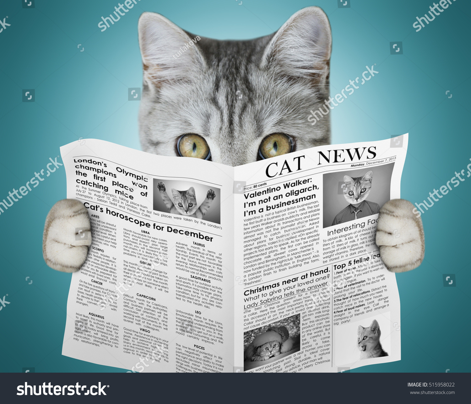 Cat reading newspaper