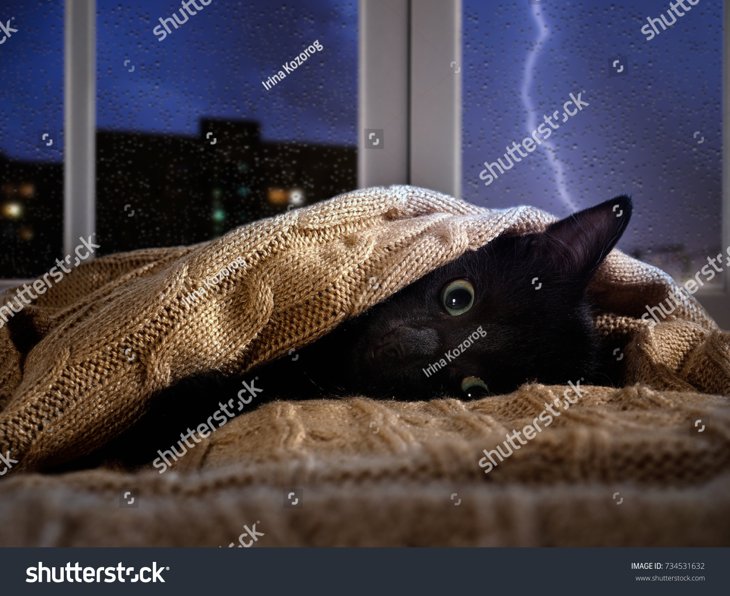 Scared Thunder Images Stock Photos Vectors Shutterstock Scared Thunder Images Stock Photos Vectors Shutterstock