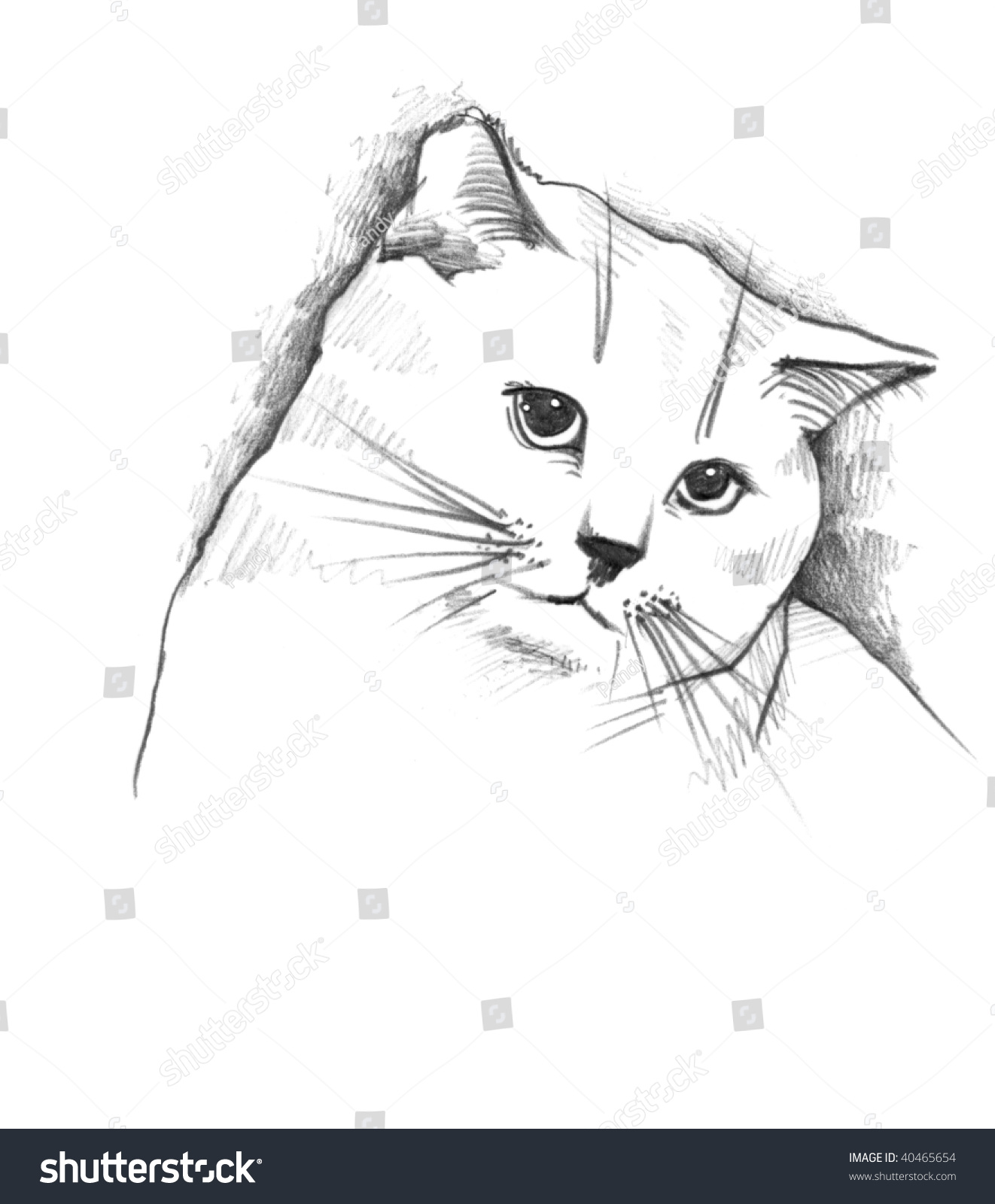 Illustration De Dessin D Esquisse De Chat Illustration De Stock