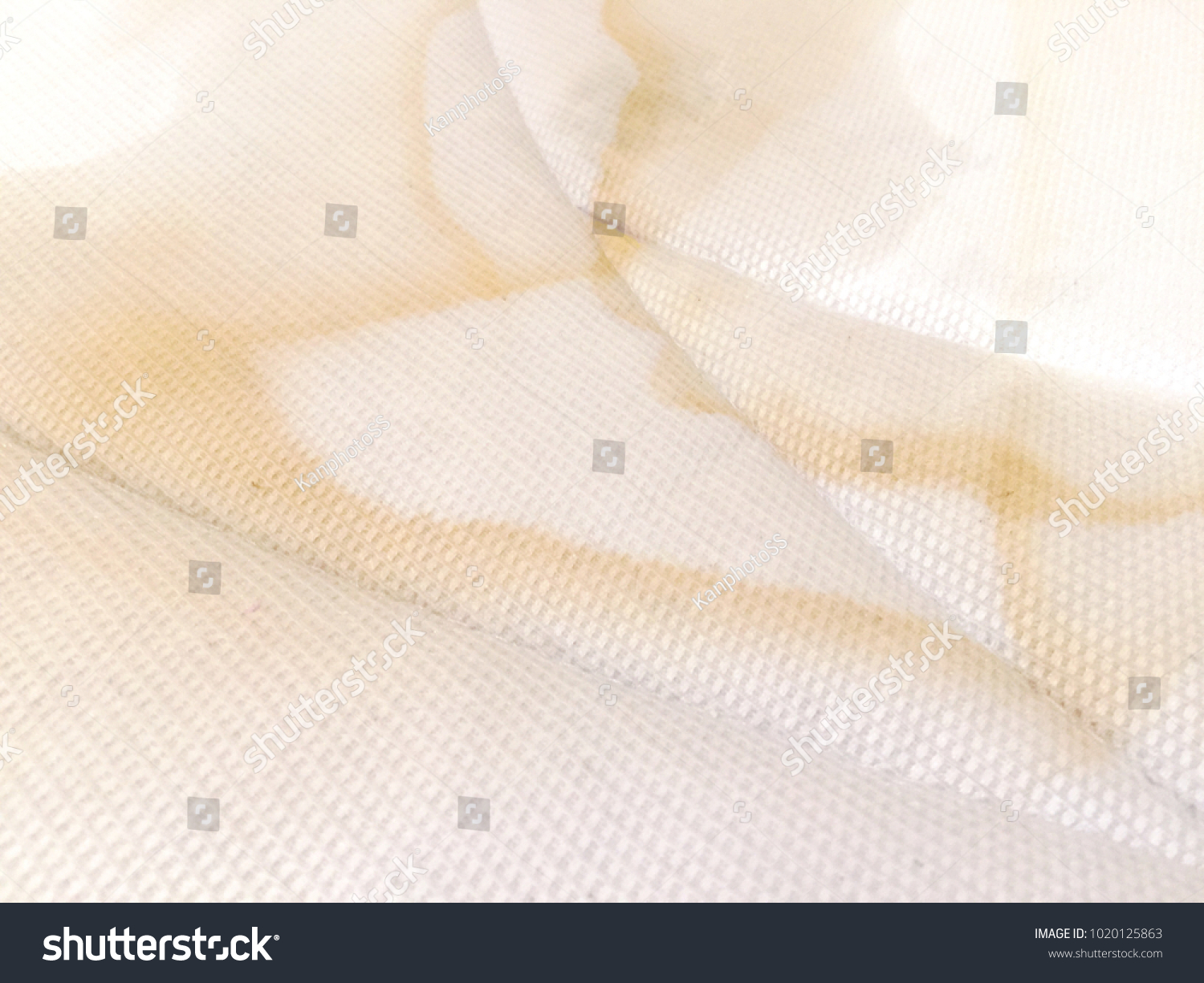 Cat Urine Stains On Bed Stock Photo 1020125863 Shutterstock Cat Urine Stains On Bed Stock Photo 1020125863 Shutterstock