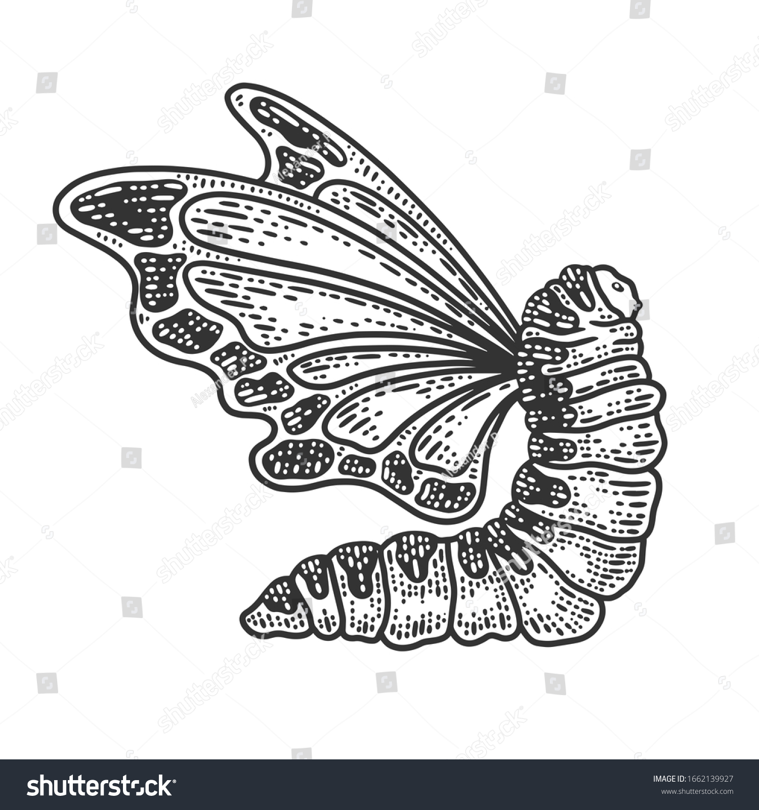 caterpillar butterfly wings sketch engraving raster stock illustration 1662139927
