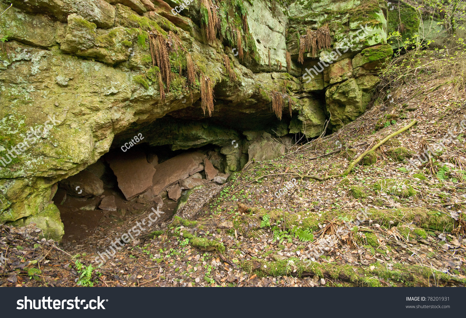 Cave Entrance Middle Forest Stock Photo 78201931 - Shutterstock