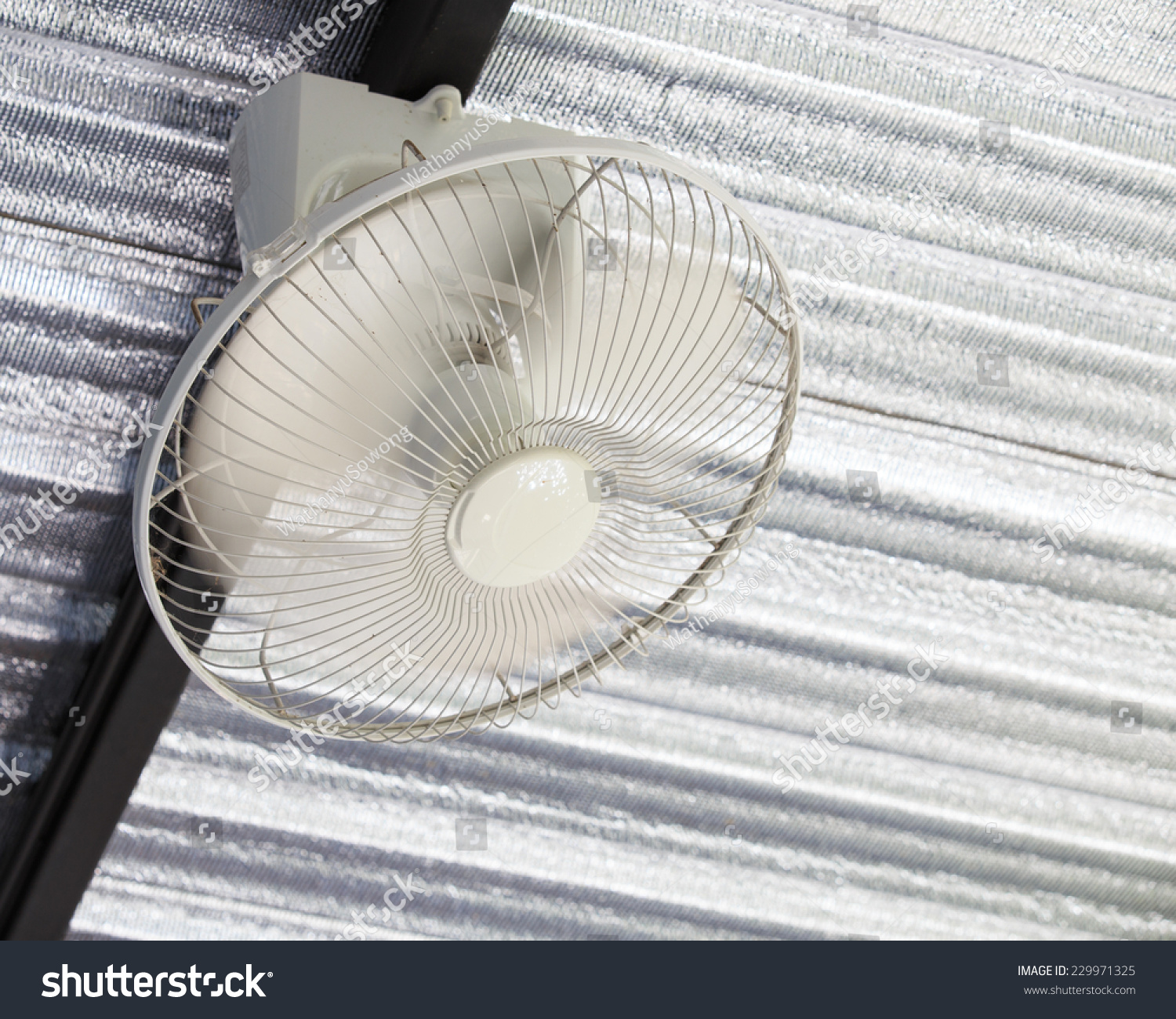 Ceiling Fan Attached Ceiling Stock Photo Edit Now 229971325