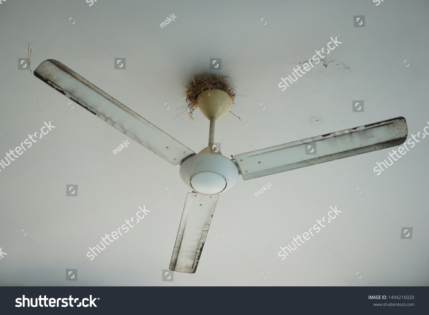 Ceiling Fan Bird Nest On Stock Photo Edit Now 1494216020