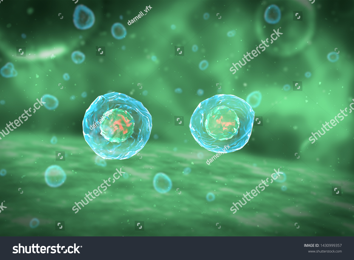 Cell Division Stages Mitosis 3d Illustration Stock Illustration ...