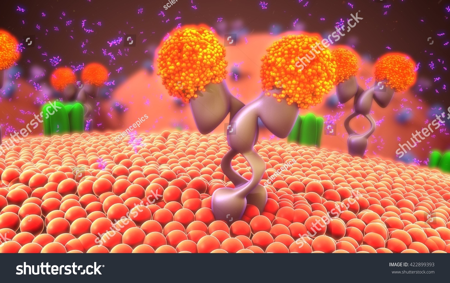 Cell Membrane Receptors 3d Illustration Stock Illustration 422899393