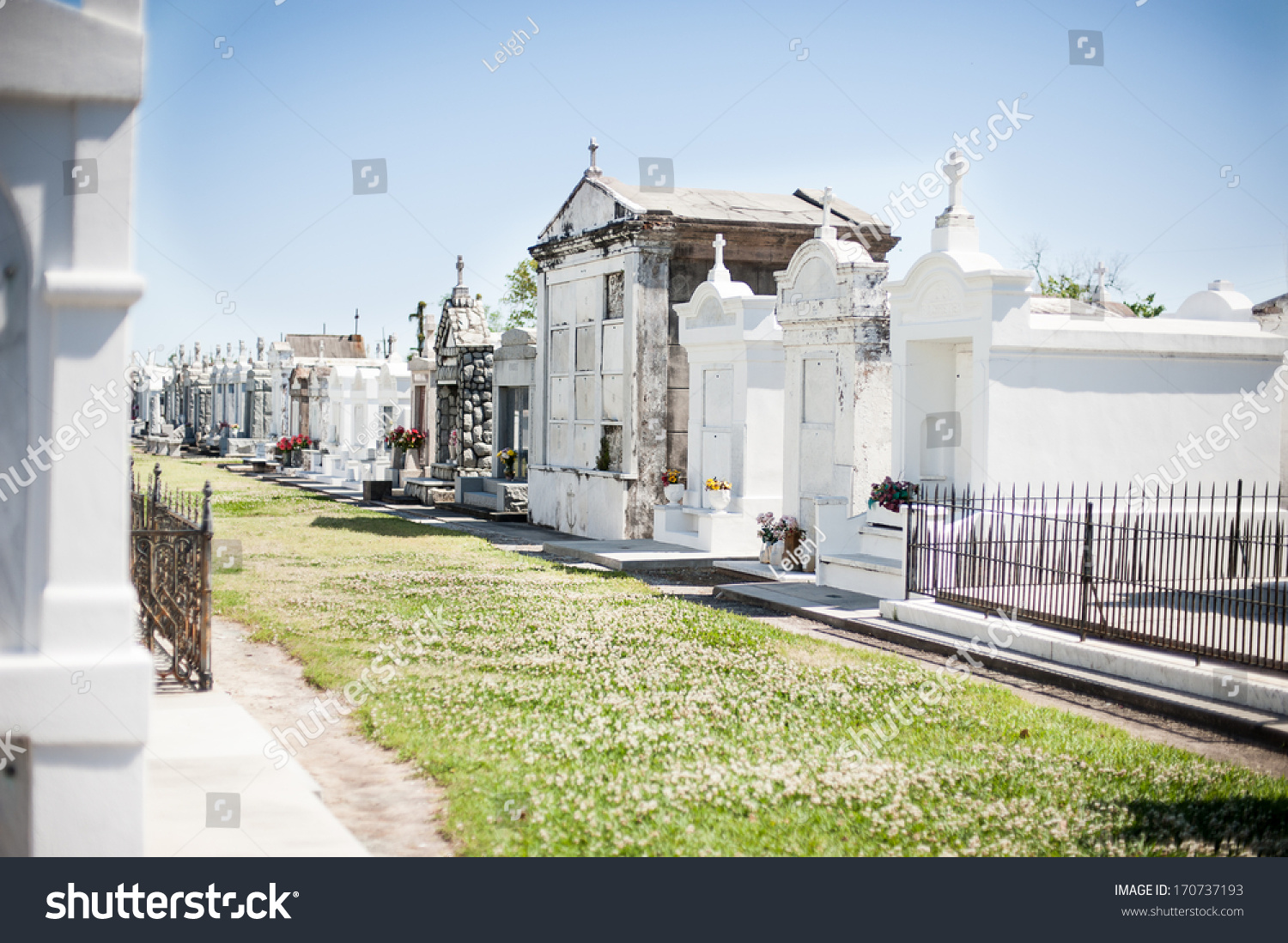 Cemetery In New Orleans With Above Ground Crypts Stock Photo 170737193 ...