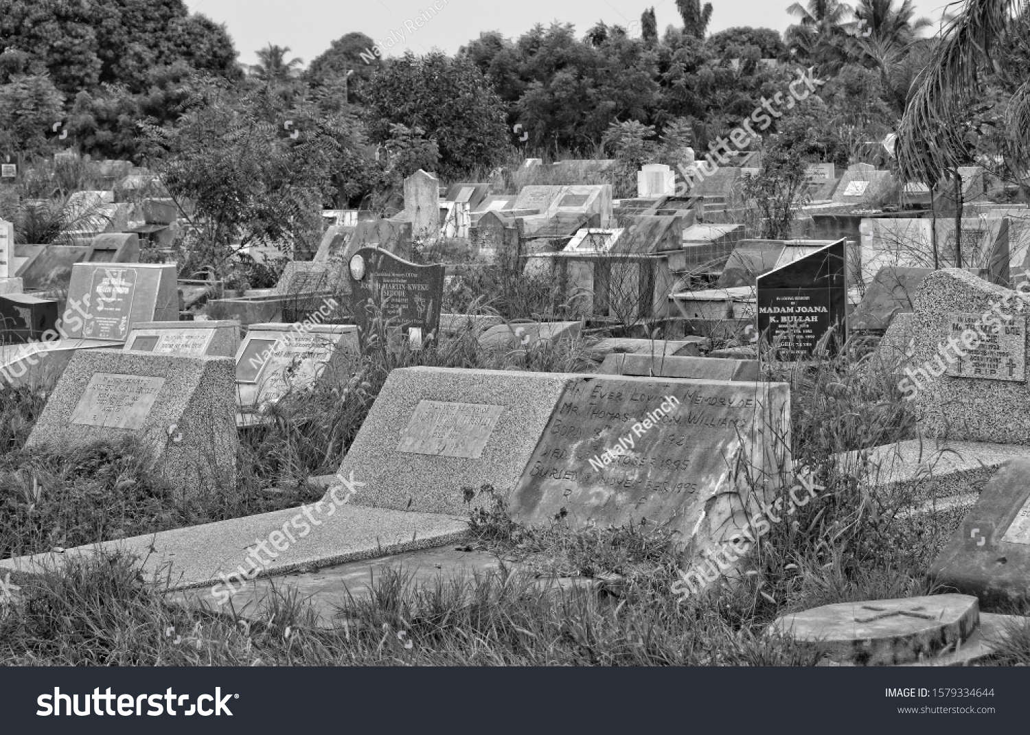 Cemetery West Africa Tombstones Burial Place Stock Photo 1579334644 ...