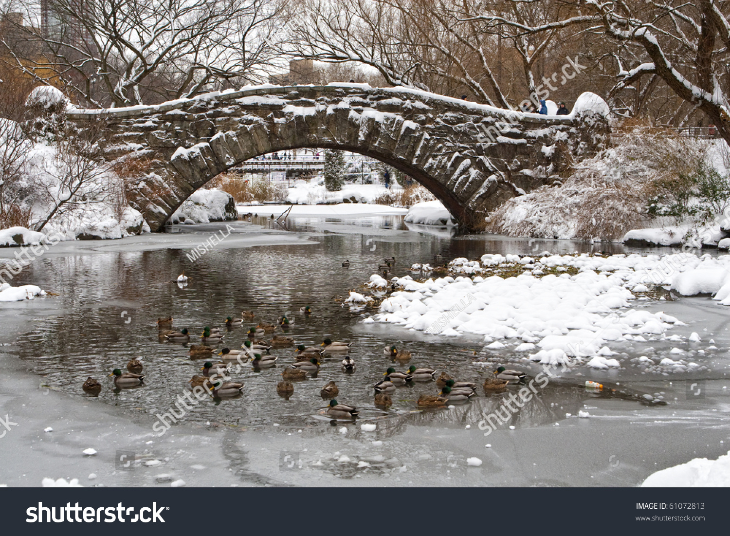 Central Park Ducks River Under Gapstow Stock Photo 61072813 - Shutterstock