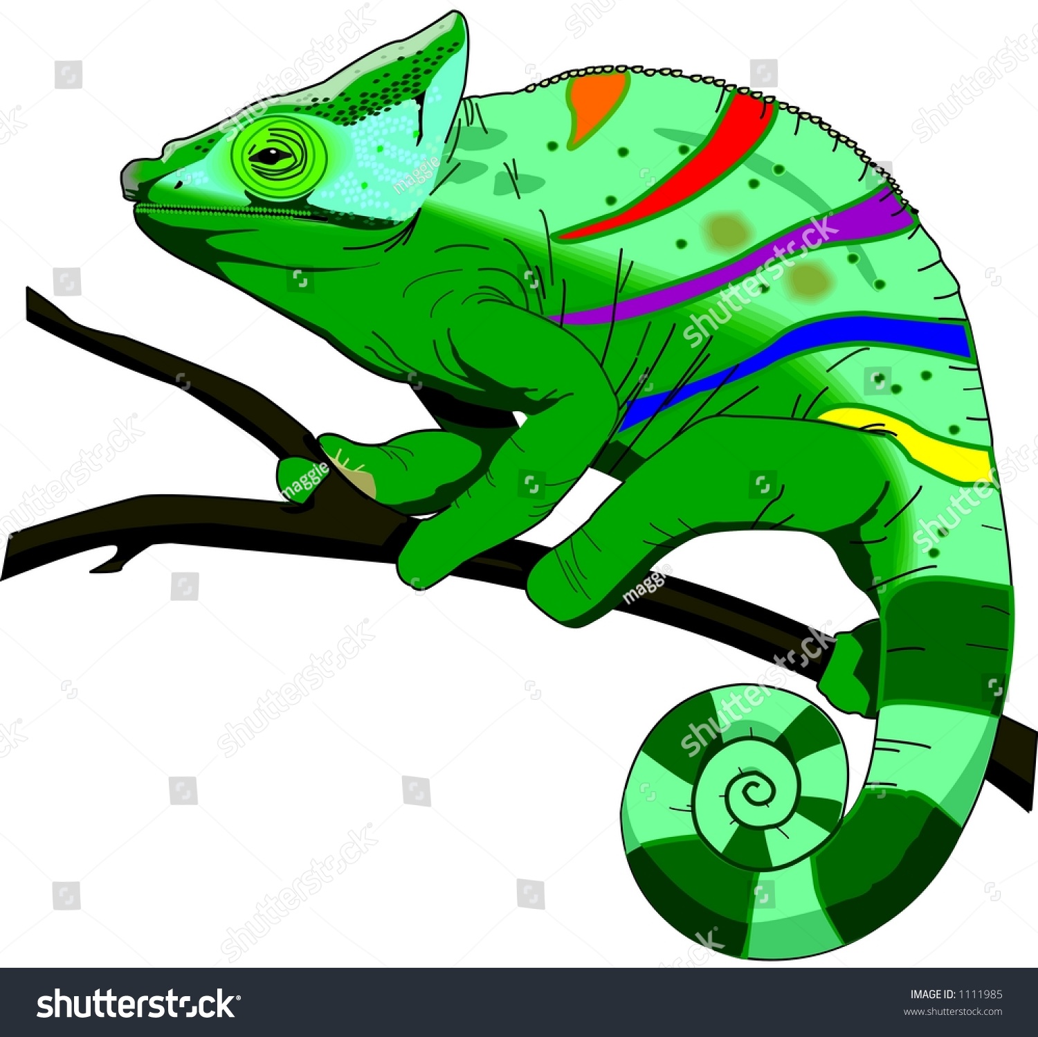 Chameleon Illustration Stock Illustration 1111985 - Shutterstock