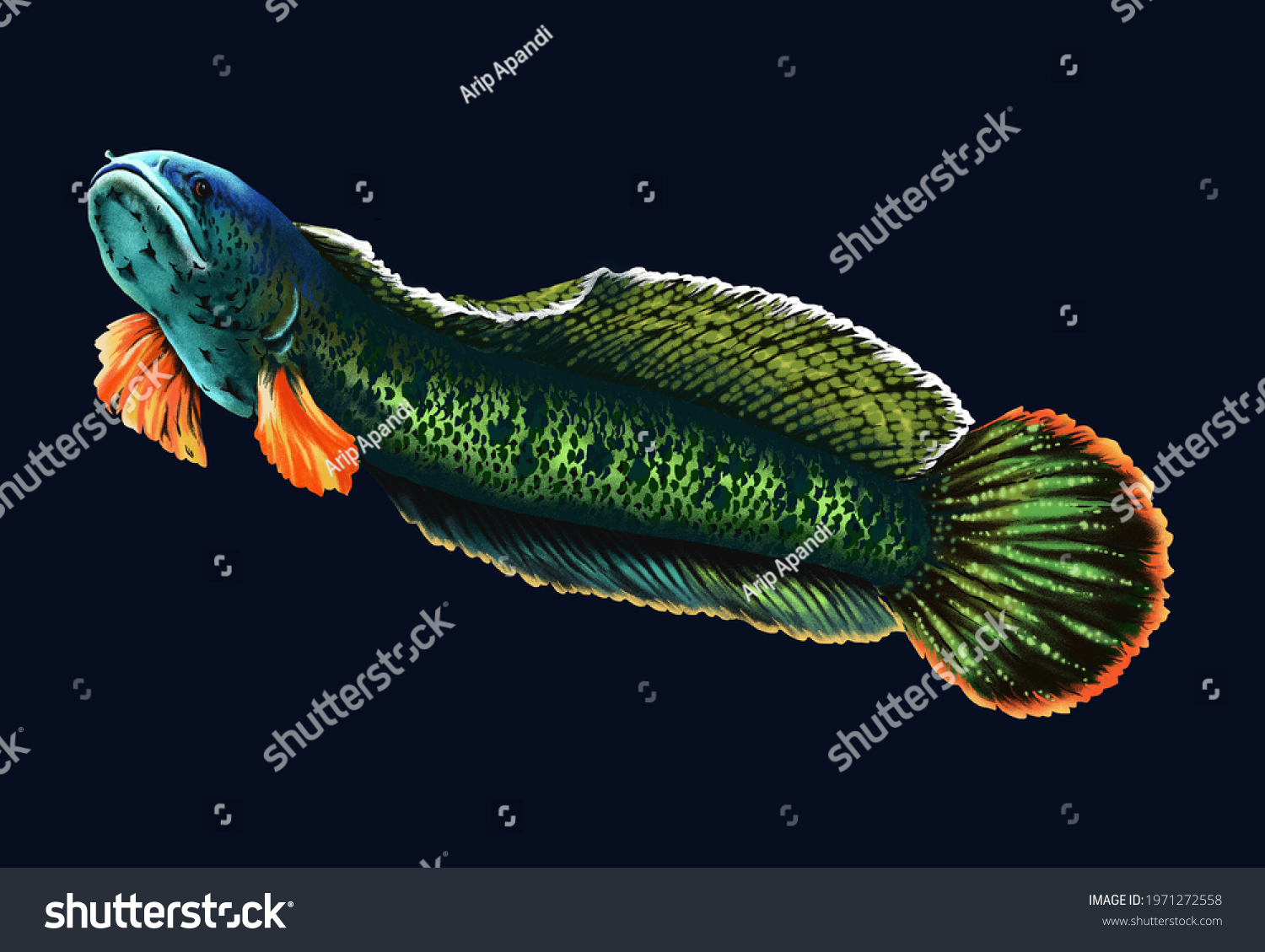 Chana fish