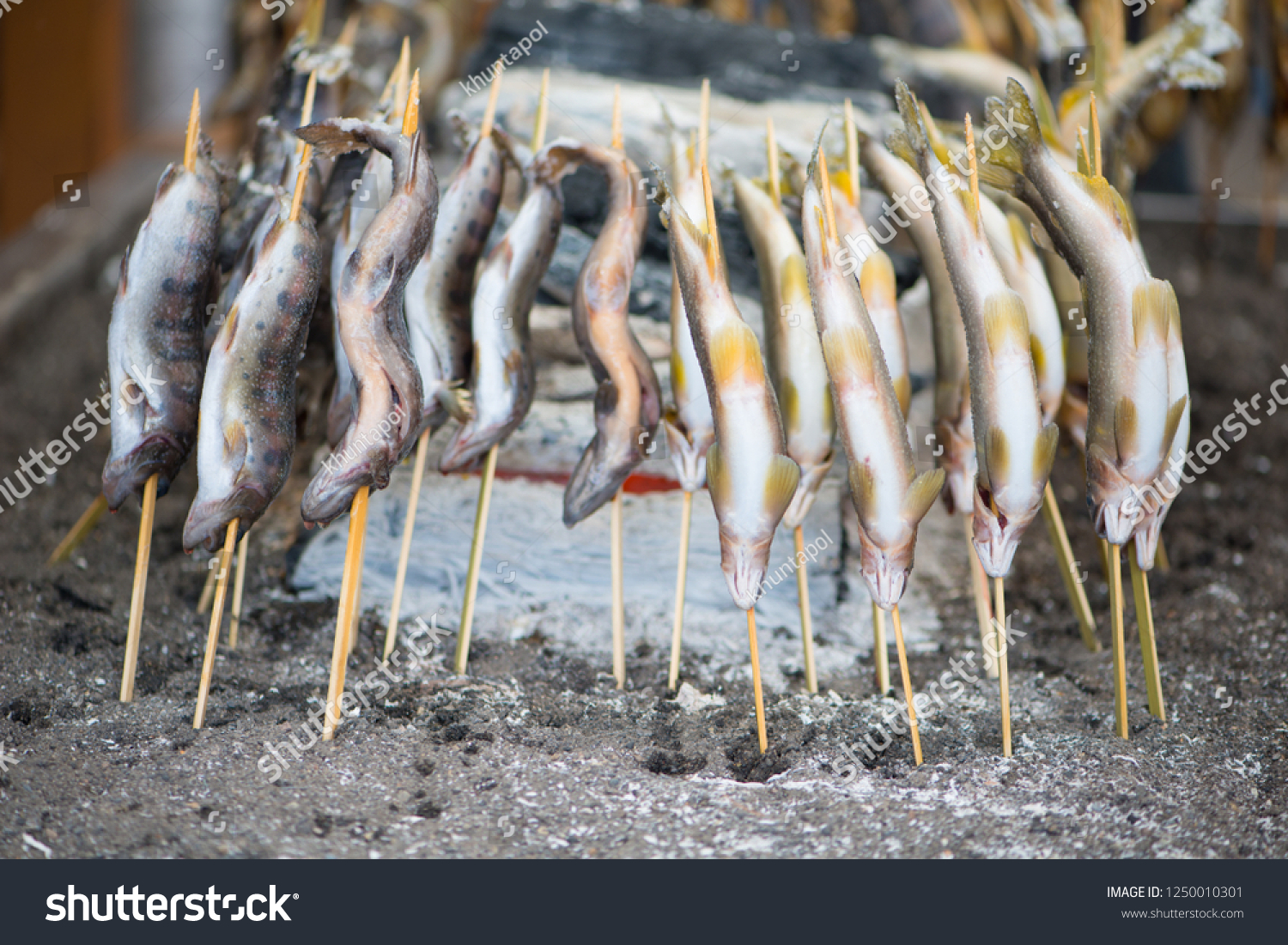 Charcoal Grilled Ayu Fish Salt Traditional Stock Photo 1250010301 ...