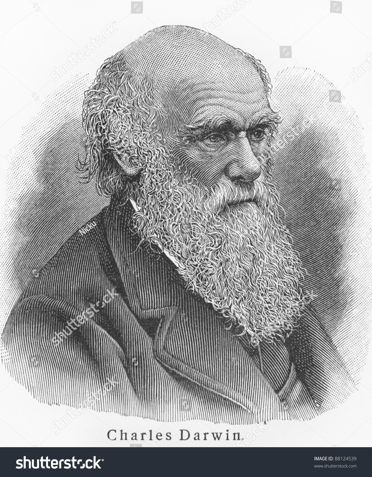 113 Darwin drawings Stock Photos, Images & Photography Shutterstock