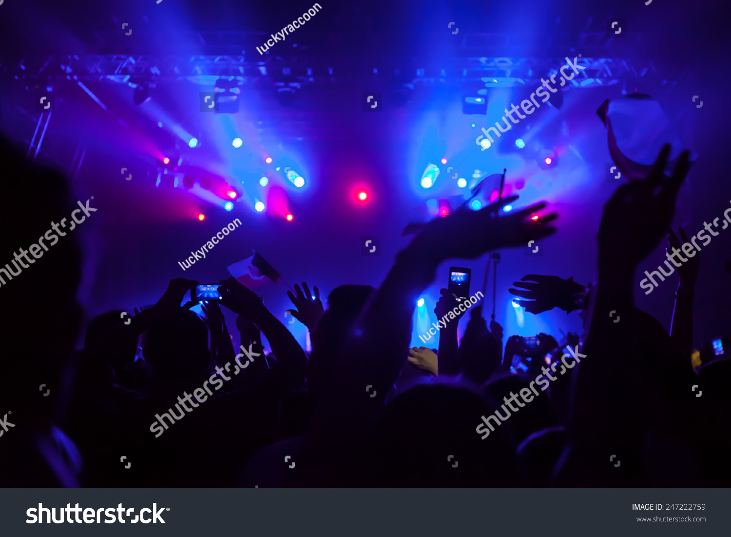 Cheering Crowd Having Fun At A Concert. Stock Photo 247222759 ...