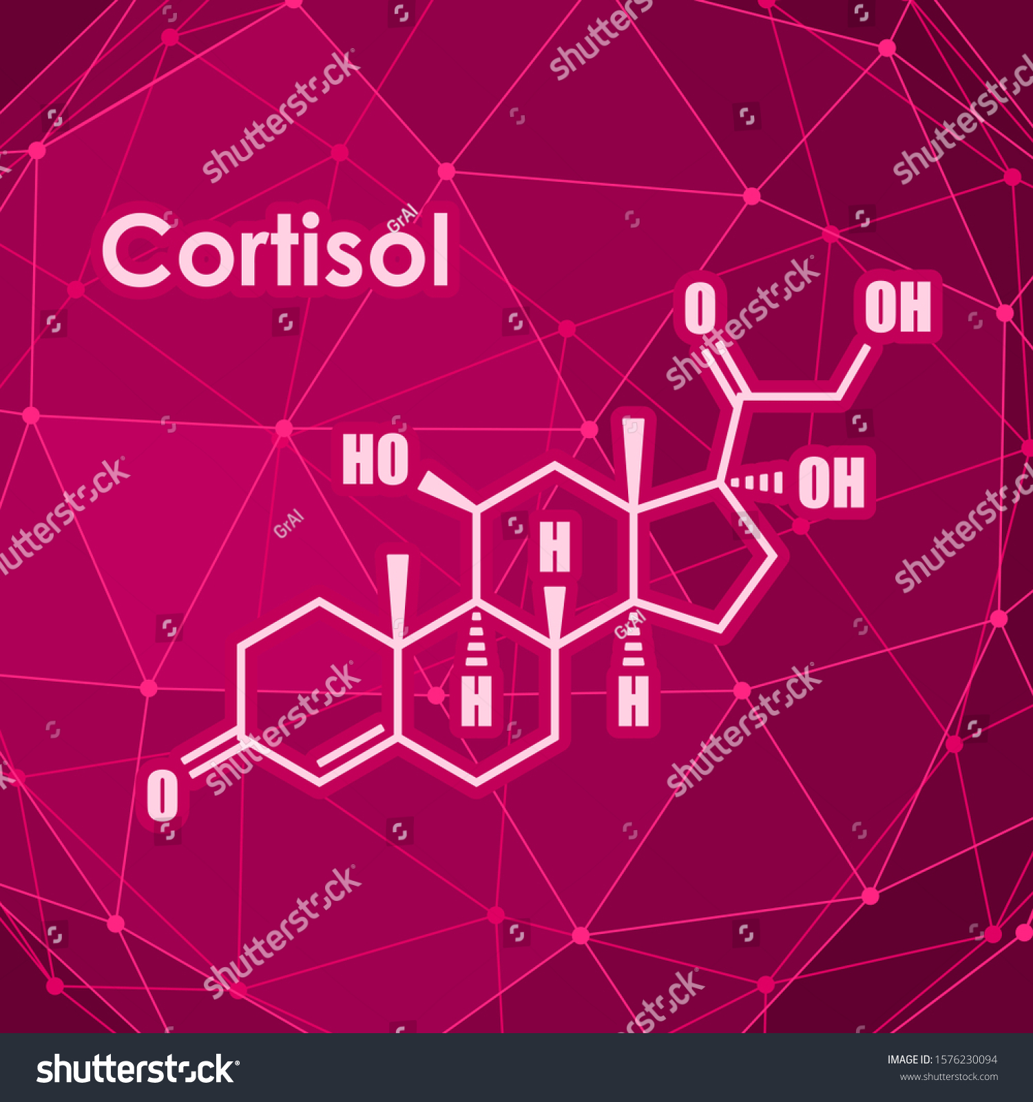 Chemical Molecular Formula Hormone Cortisol Connected Stock Illustration 1576230094 3177